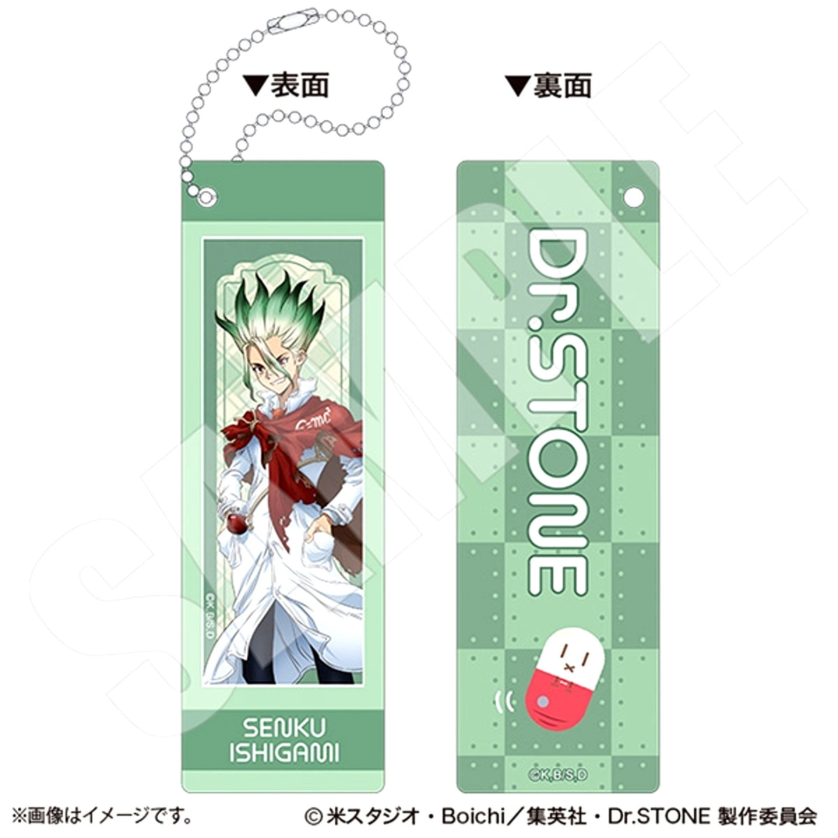 Dr.STONE Photo Gray Keychain Together with Why-Man ver. Senku Ishigami [NEW]