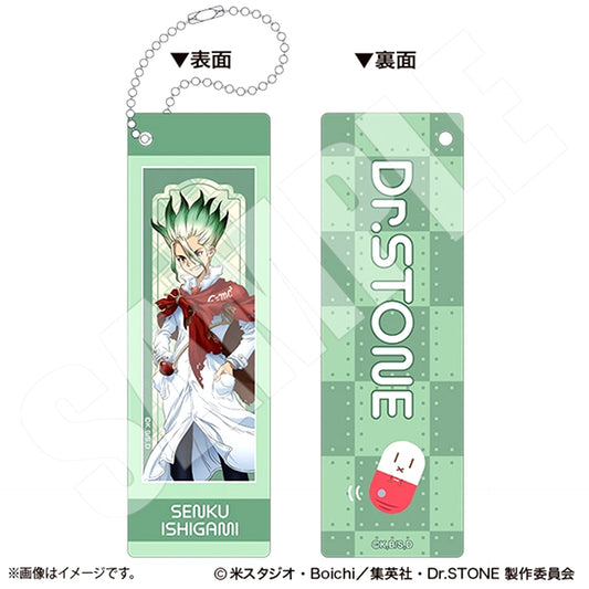 Dr.STONE Photo Gray Keychain Together with Why-Man ver. Senku Ishigami [NEW]