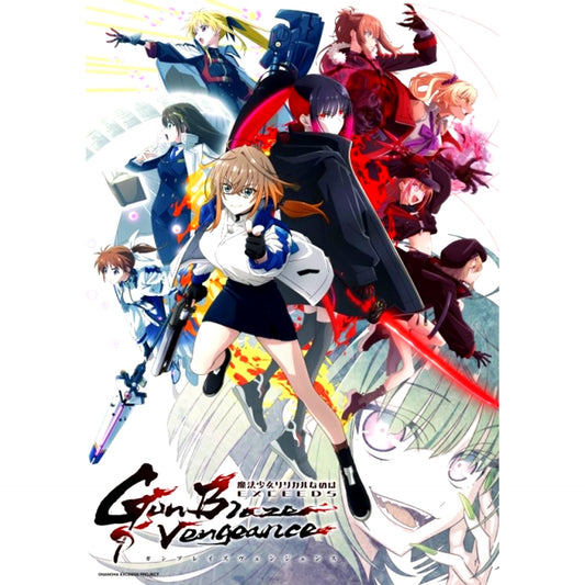 TV Magical Girl Lyrical Nanoha EXCEEDS Gun Blaze Vengeance Blu-ray Vol.3 animate Limited Set First Limited Edition [NEW]