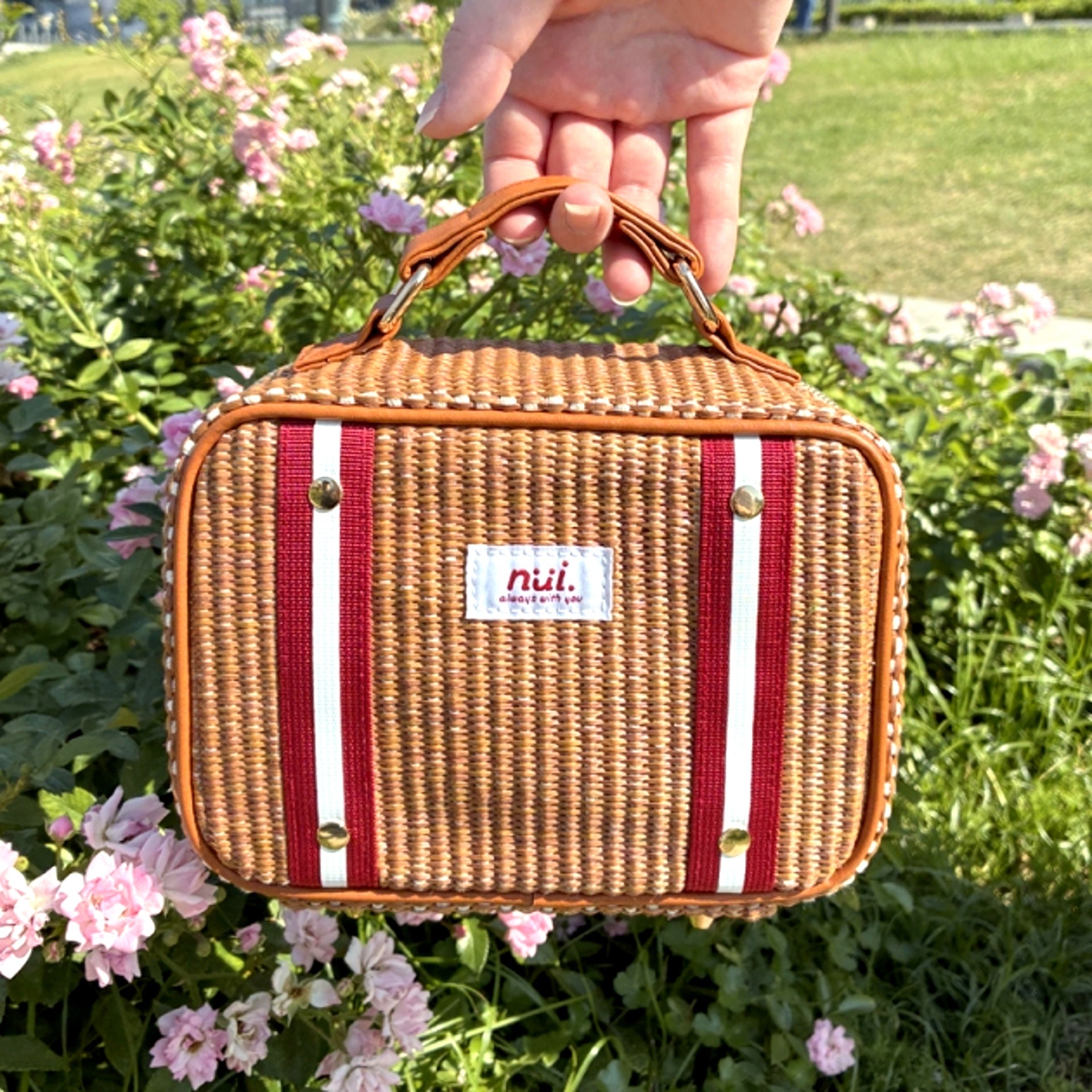 Non-Character Original nui. Basket Plush Bag Brown [NEW]