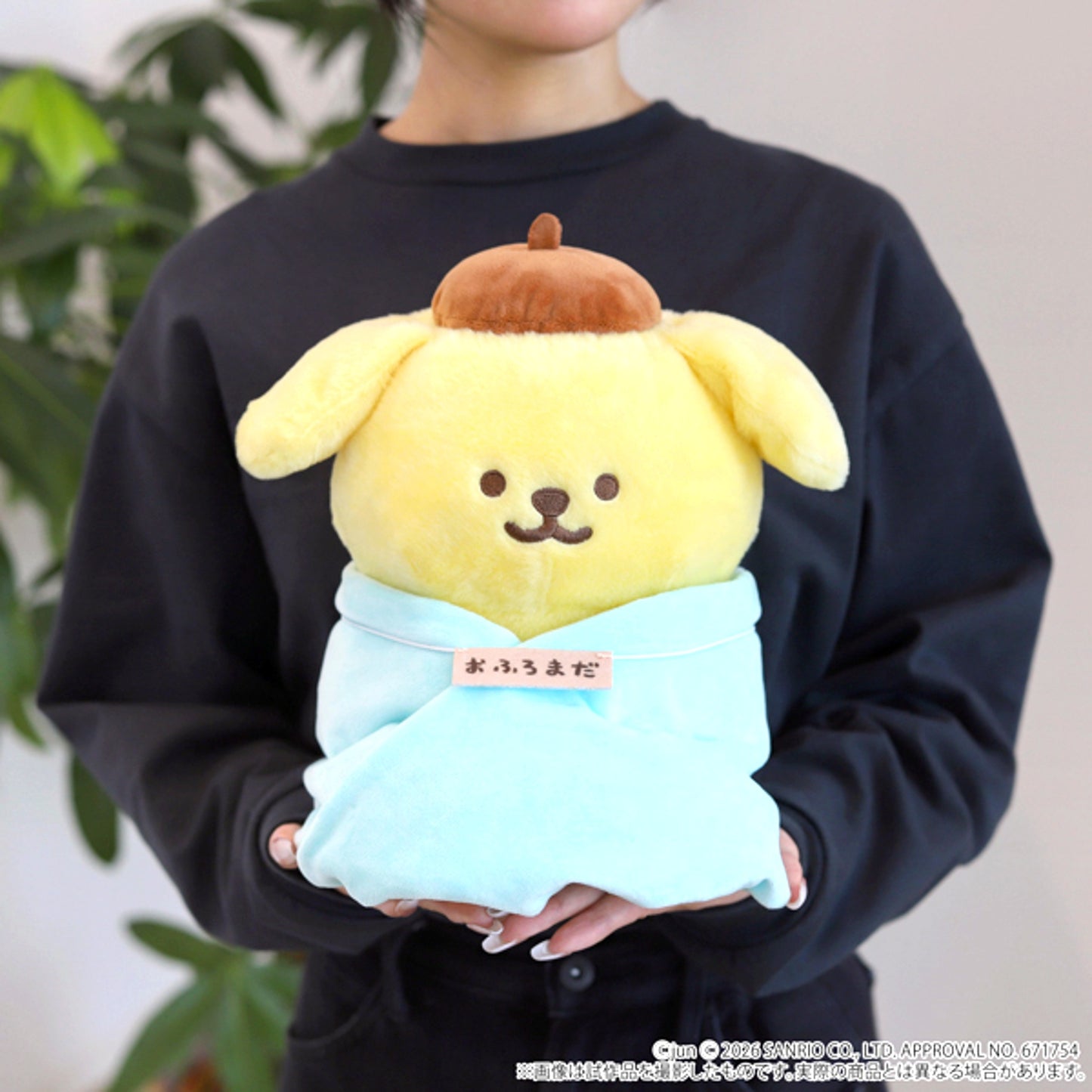 Sanrio Characters Pompompurin Ofuro Mada Plush [NEW]
