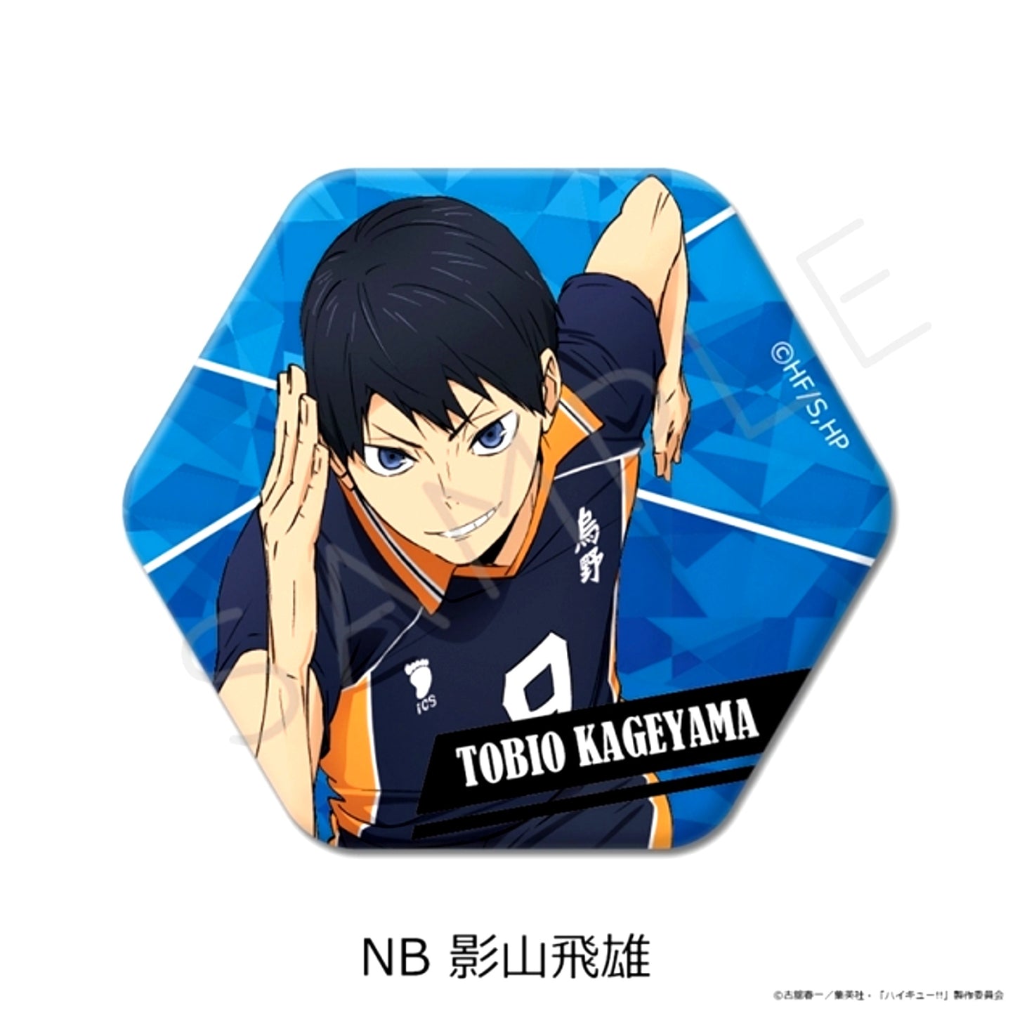 Haikyu!! Part 12 Hexagonal Button NB(Tobio Kageyama) Goods - Badge [NEW]