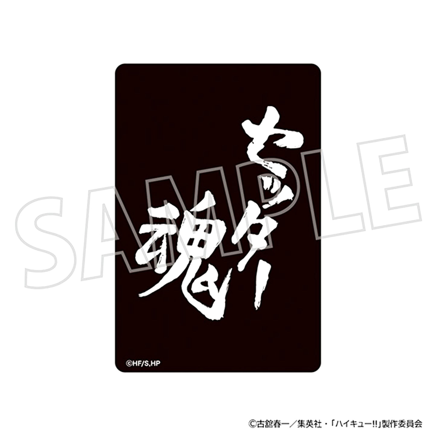 Haikyu!! Magnet / Setter Spirit [NEW]