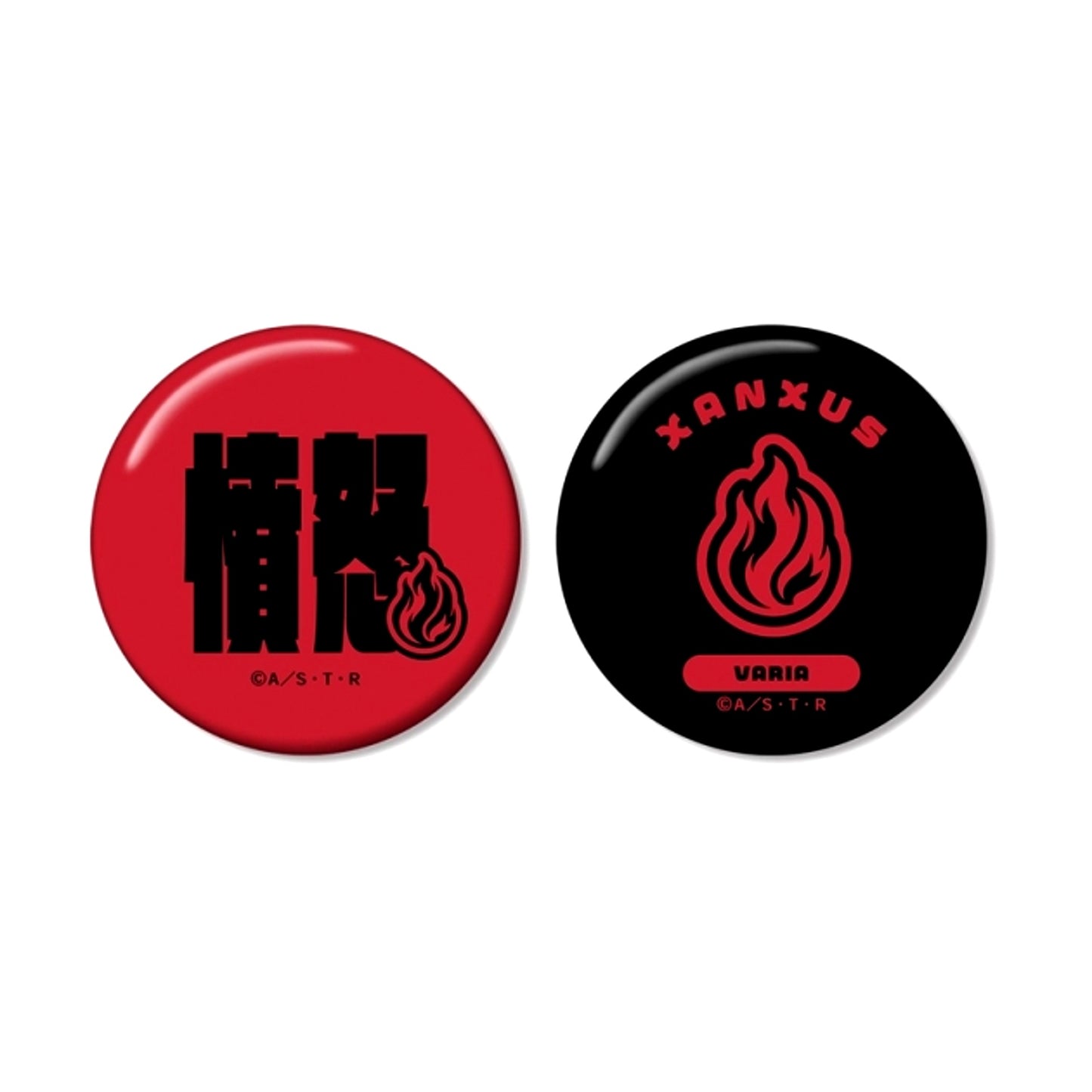 TV Anime Katekyo Hitman Reborn! XANXUS (10 Years Later) ar-Unity Motif Name Design Can Badge 2-Piece Set (Reissue) [NEW]