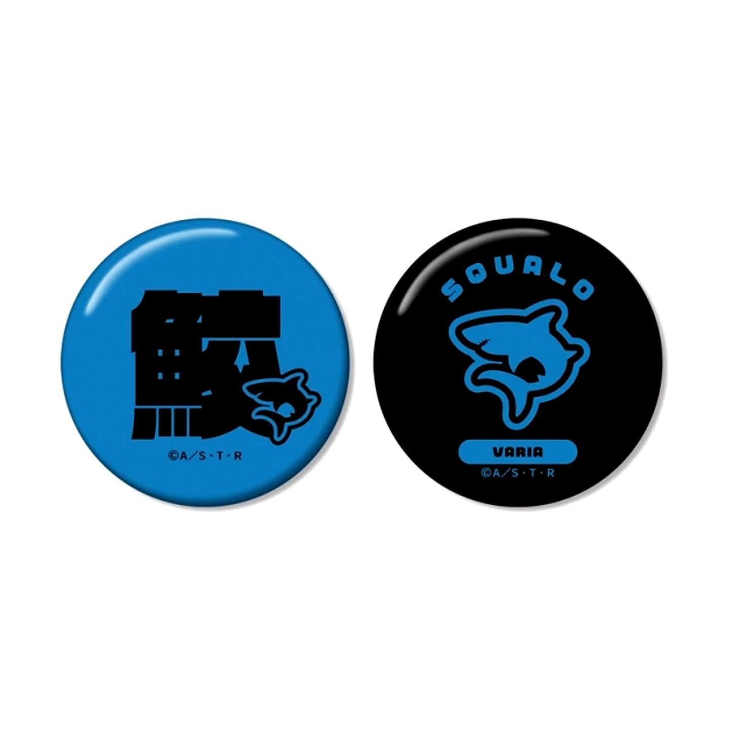 TV Anime Katekyo Hitman Reborn! Superbi Squalo (10 Years Later) ar-Unity Motif Name Design Can Badge Set of 2 (Reissue) [NEW]