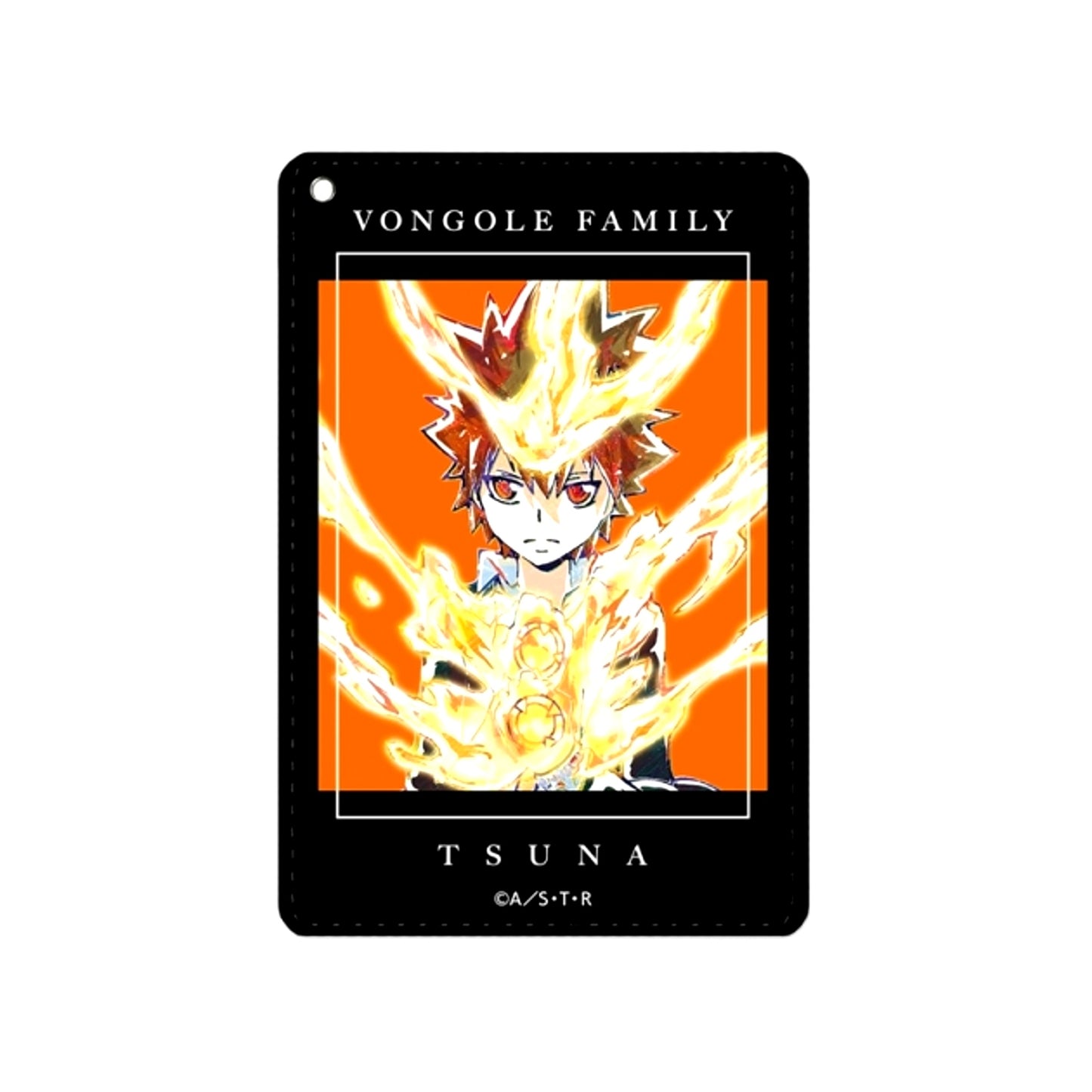 TV Anime Reborn! Tsunayoshi Sawada Ani-Art 1 Pocket Pass case vol.3 Goods - Pass case Resale [NEW]