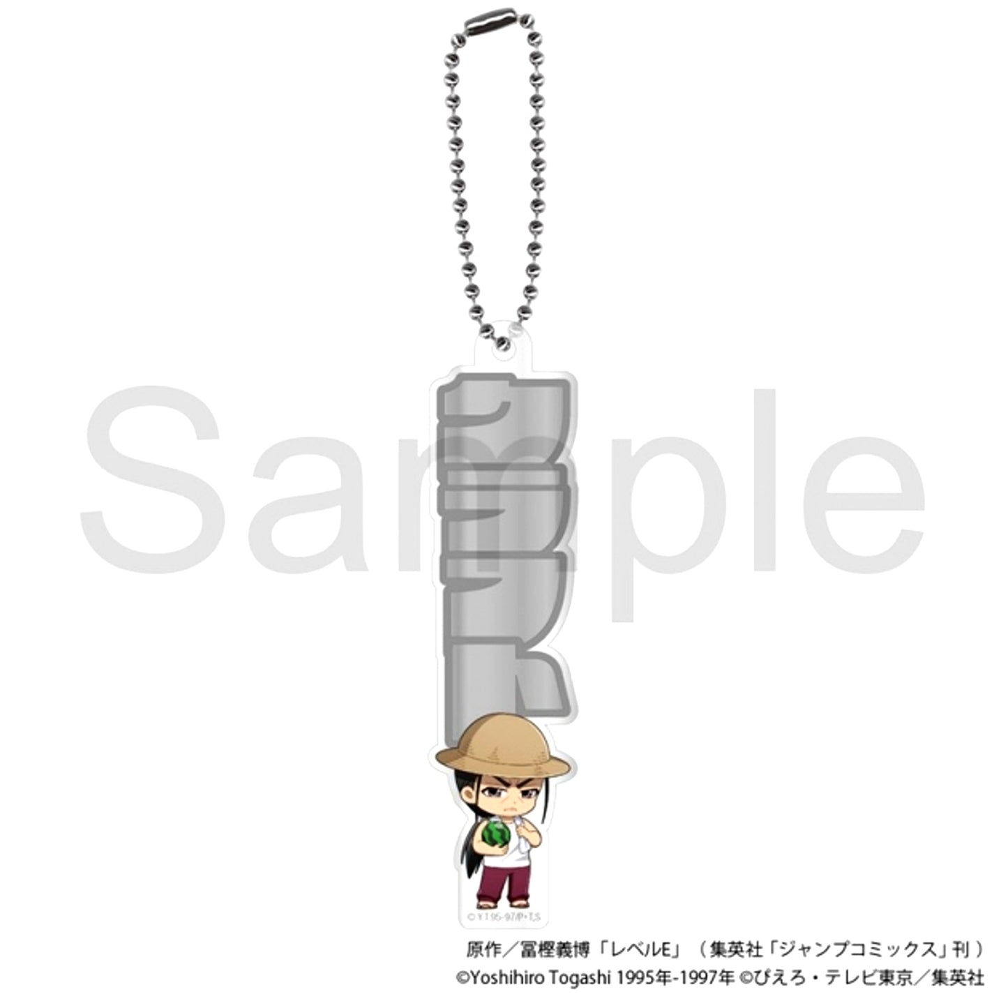 TV Anime Level E Name Acrylic Keychain Craft (Straw Hat ver.) [NEW]