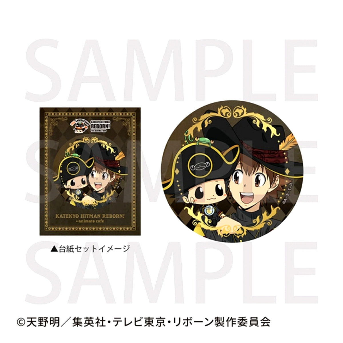 TV Anime Katekyo Hitman Reborn! (Made-to-Order) Foil Stamped Can Badge with Mount Tsuna & Reborn (Animate Cafe) [NEW]