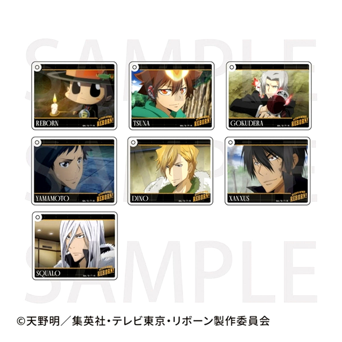 TV Anime Katekyo Hitman Reborn! (Made-to-Order) Trading CoLotta(R) A (Animate Cafe) [NEW]