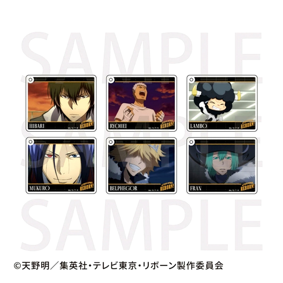 TV Anime Katekyo Hitman Reborn! (Made-to-Order) Trading CoLotta(R) B (Animate Cafe) [NEW]
