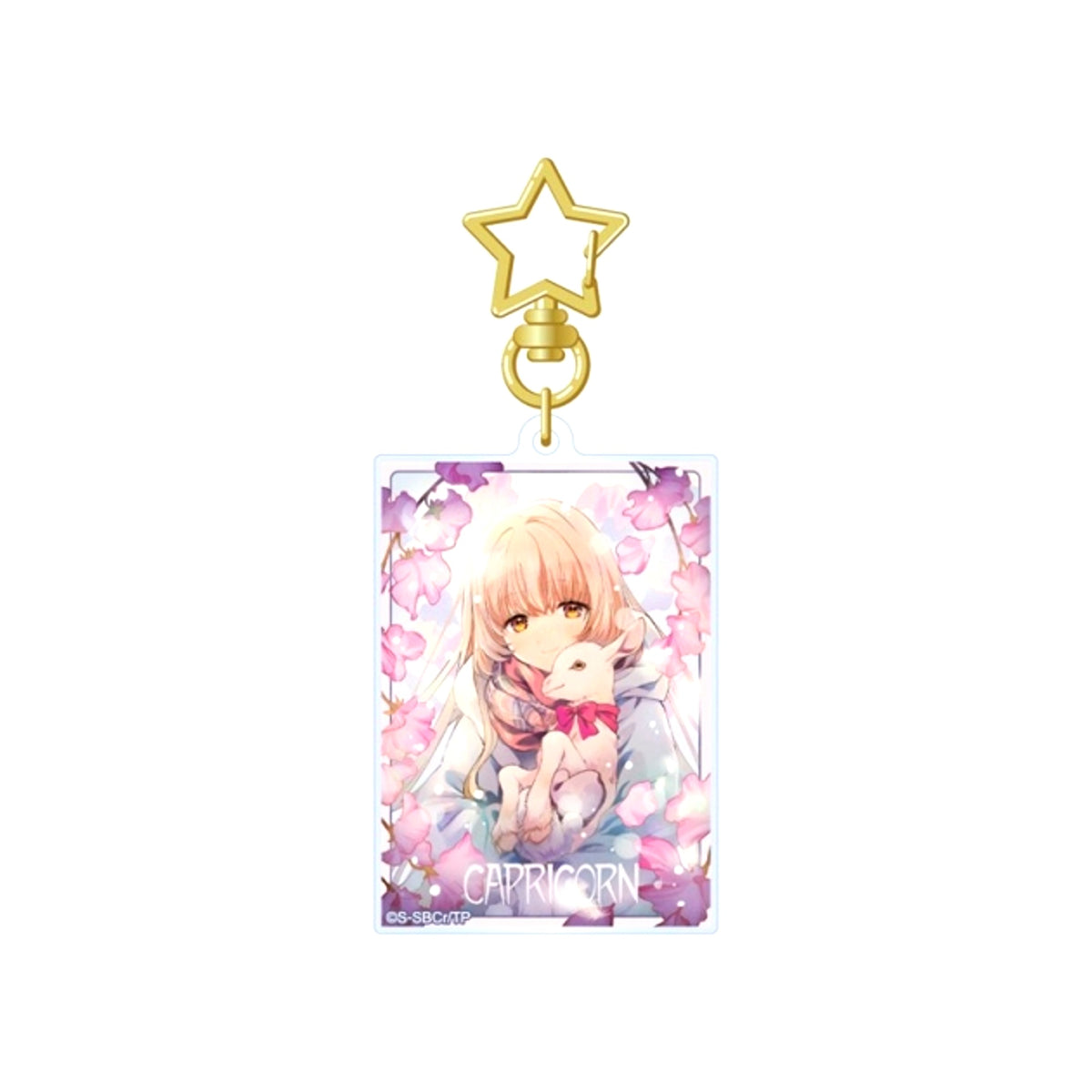 The Angel Next Door Spoils Me Rotten 2 Acrylic Keychain 12 Zodiac Signs Visual (Capricorn) [NEW]