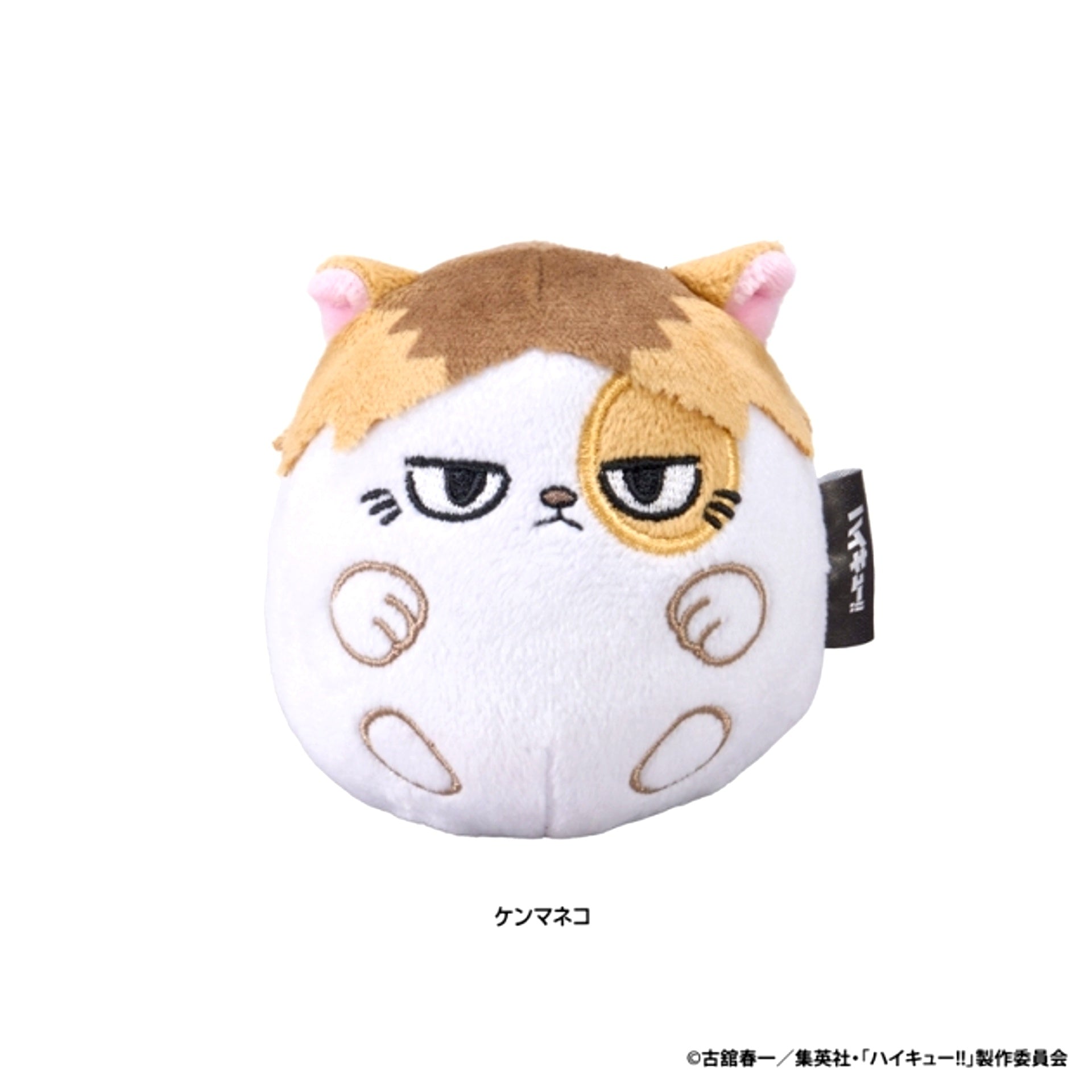 Haikyu!! Nui Colon Plush (Kenma Cat) [NEW]