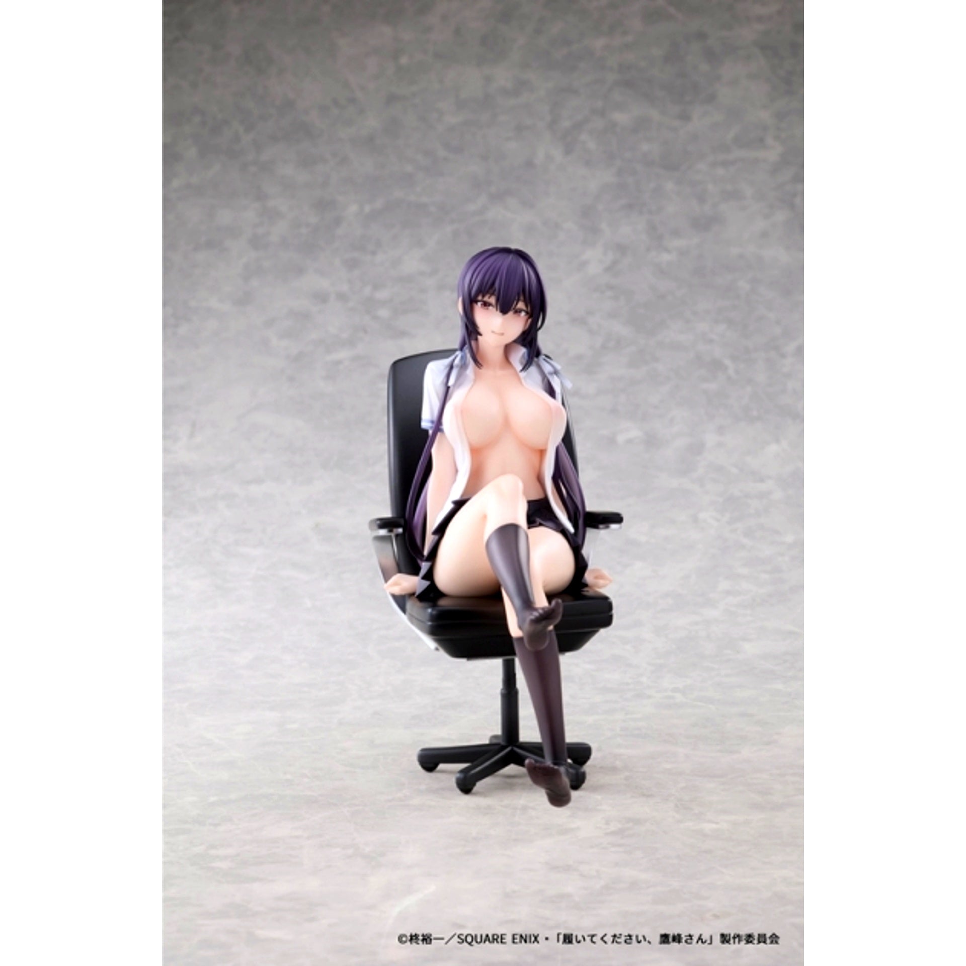AFORCE x DRAGON HORSE Please Put Them On, Takamine-san Takane Takamine 1/6 Scale Complete Figure [NEW]