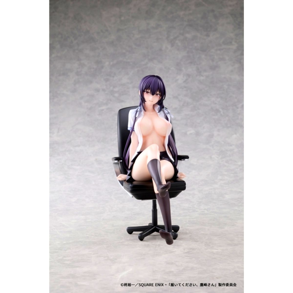 AFORCE x DRAGON HORSE Please Put Them On, Takamine-san Takane Takamine 1/6 Scale Complete Figure [NEW]
