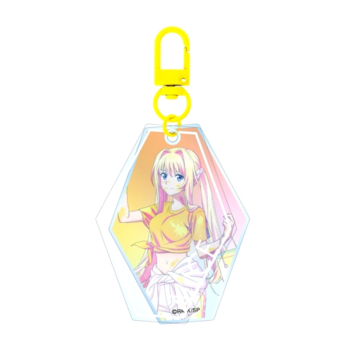 Sword Art Online Newly Drawn Alice Paint Style ver. Ani-Art clear label Vol.2 Double Slide Acrylic Keychain [NEW]