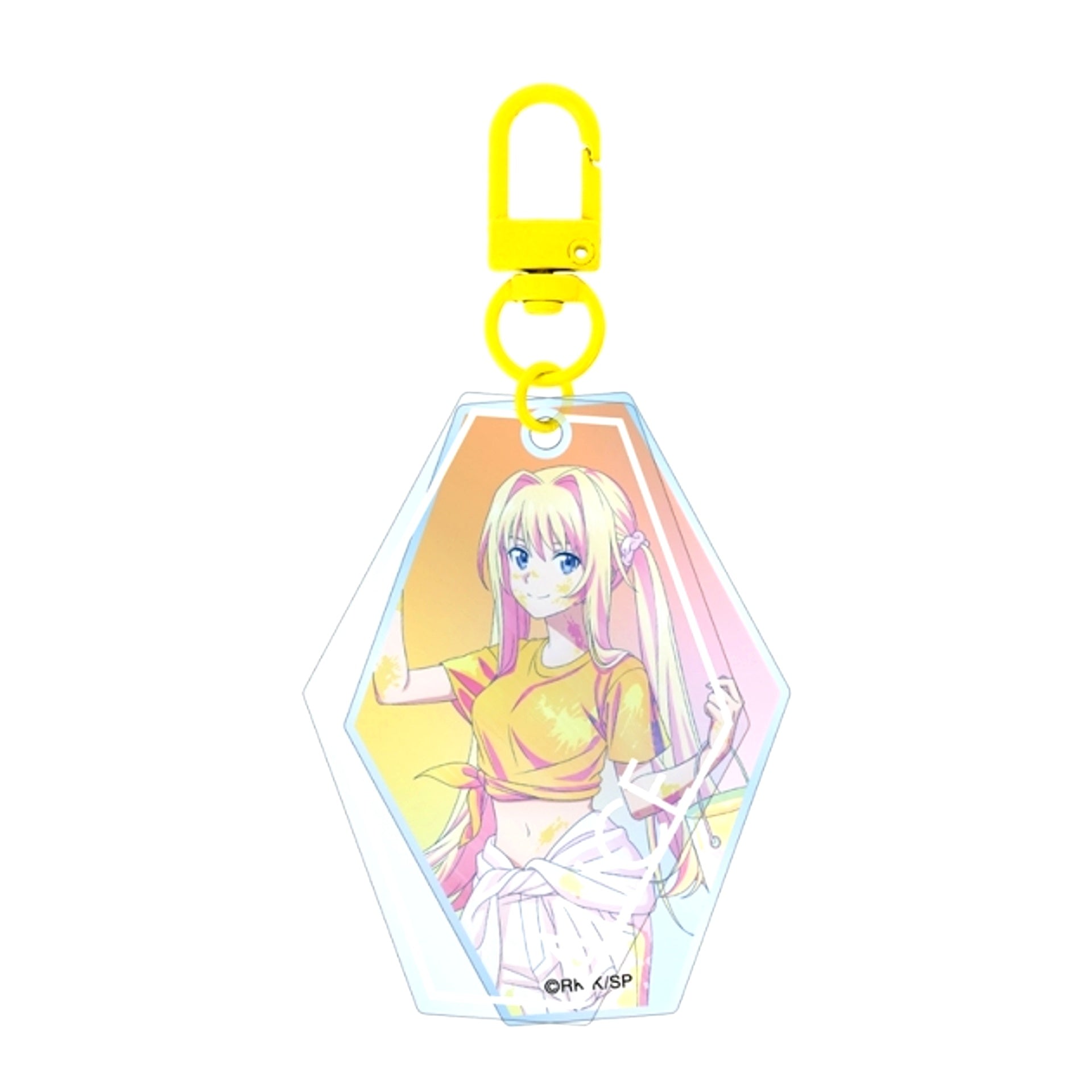 Sword Art Online Newly Drawn Alice Paint Style ver. Ani-Art clear label Vol.2 Double Slide Acrylic Keychain [NEW]