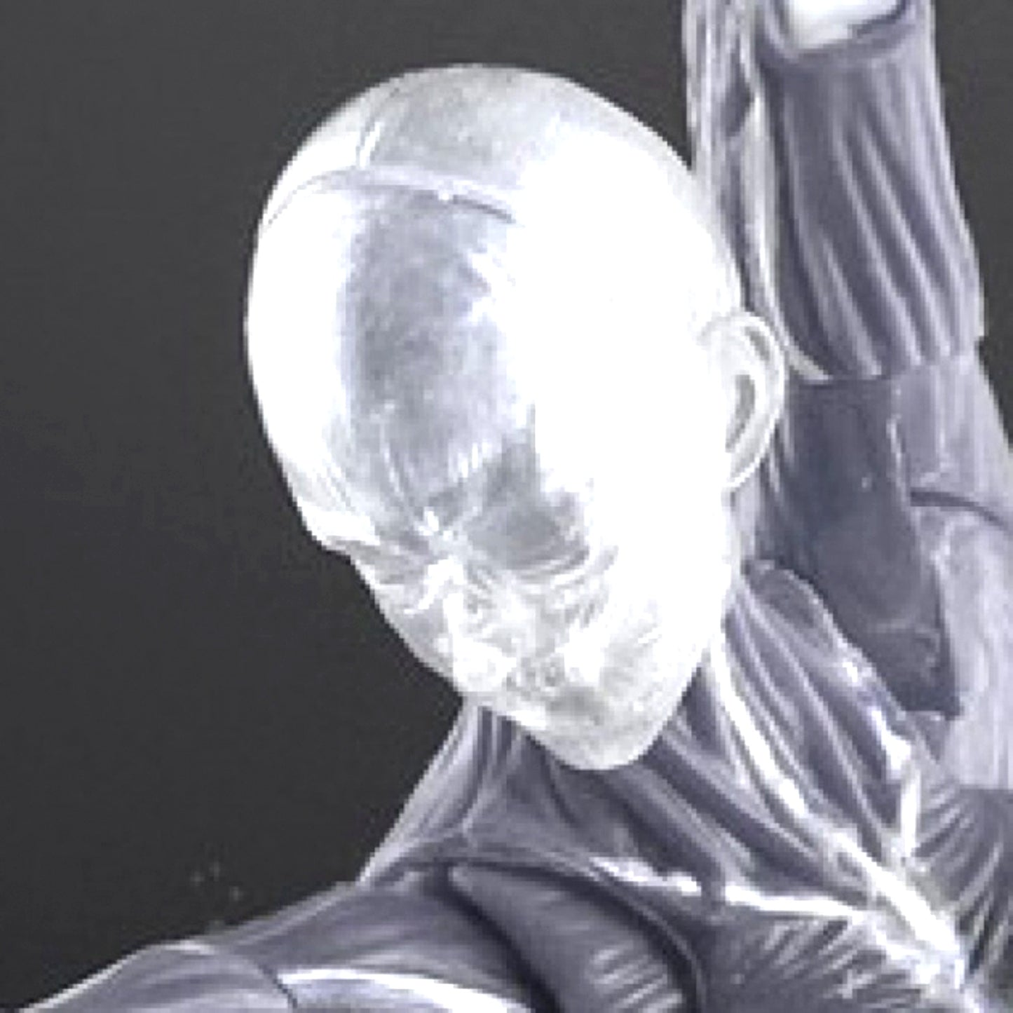 Human Body Muscle Model Female Ver. Gray 1/12 [NEW]