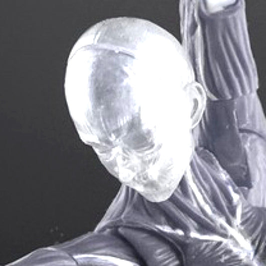 Human Body Muscle Model Female Ver. Gray 1/12 [NEW]