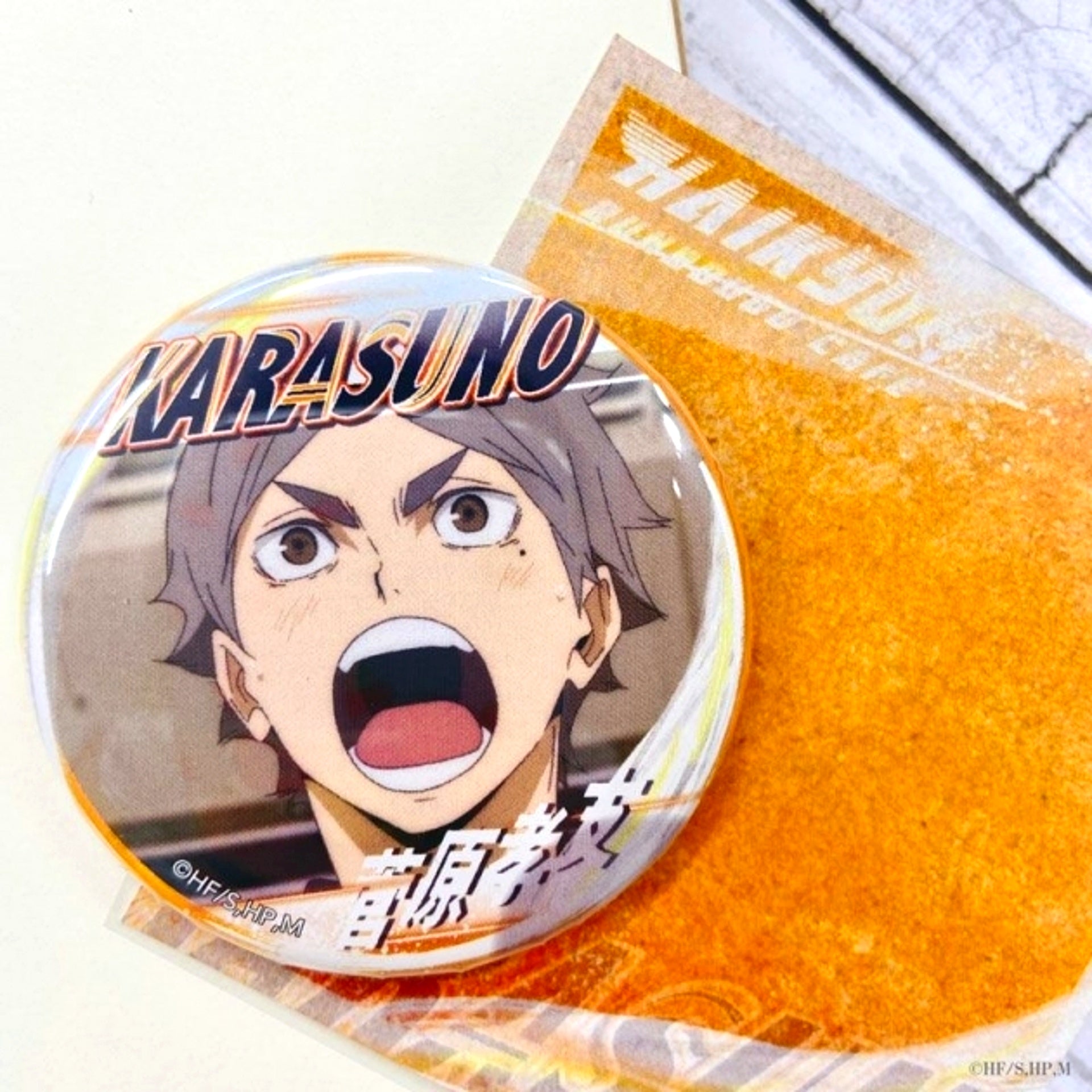 Haikyu!! A page of youth Button Koushi Sugawara Goods - Badge Resale [NEW]