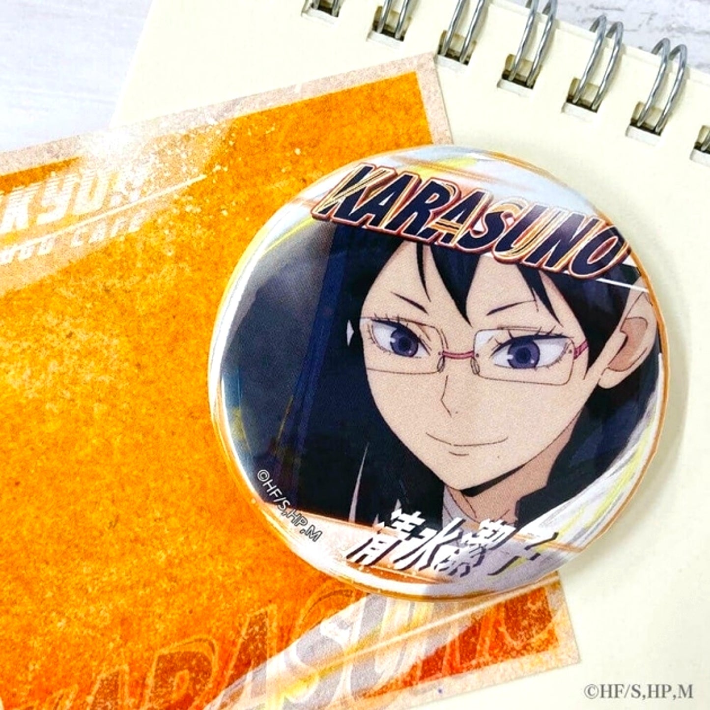 Haikyu!! A page of youth Button Kiyoko Shimizu Goods - Badge Resale [NEW]