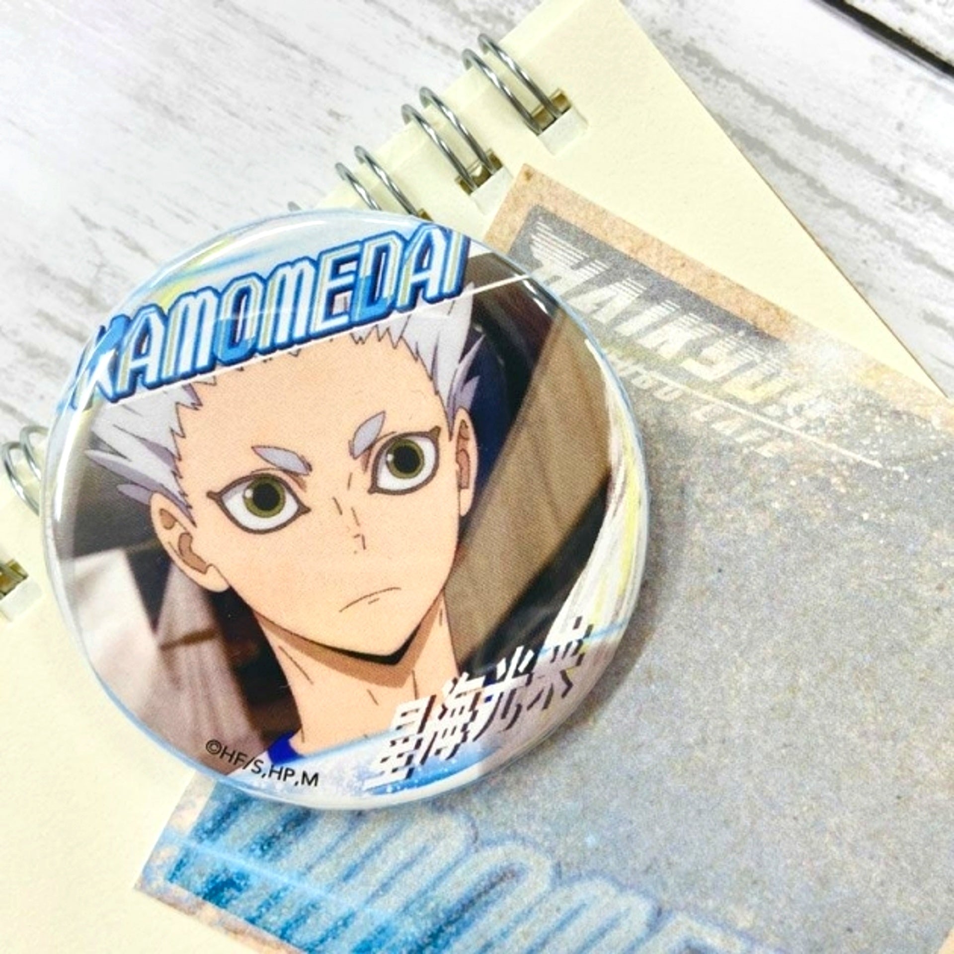 Haikyu!! A page of youth Button Korai Hoshiumi Goods - Badge Resale [NEW]