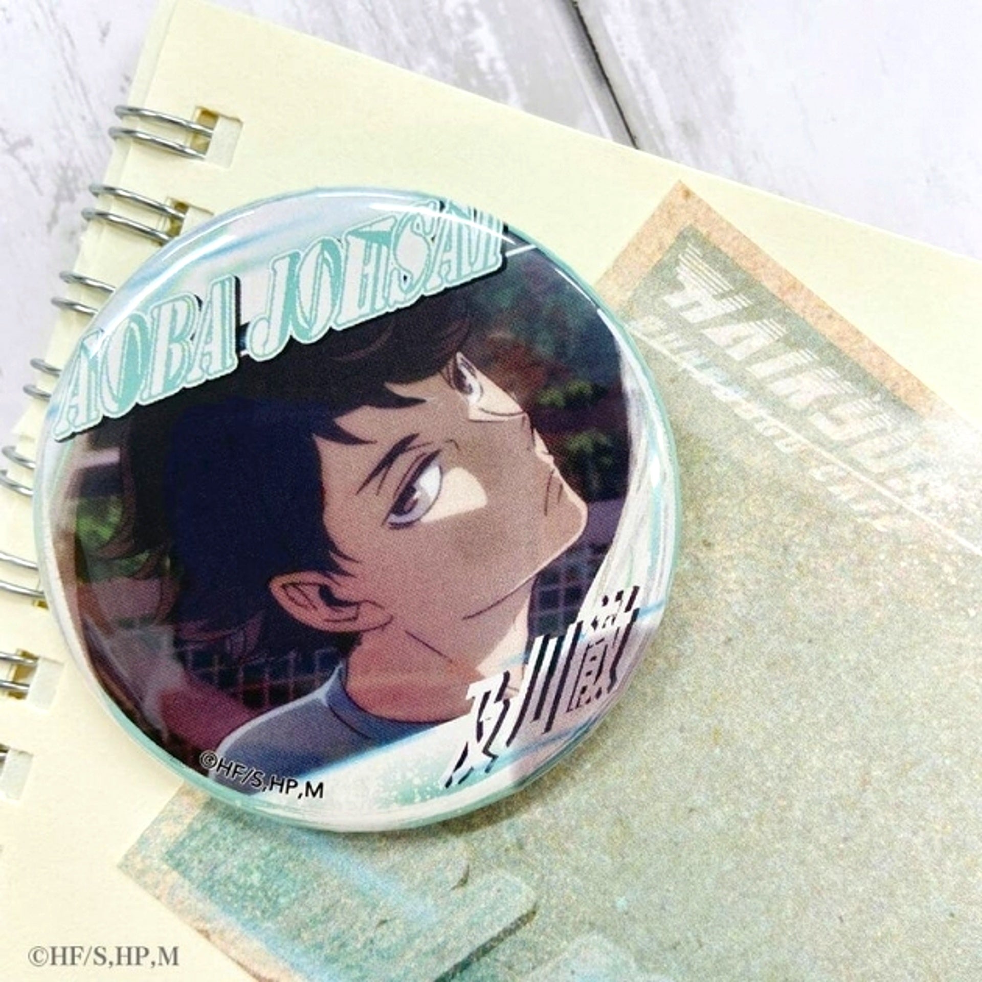 Haikyu!! A page of youth Button Toru Oikawa Goods - Badge Resale [NEW]