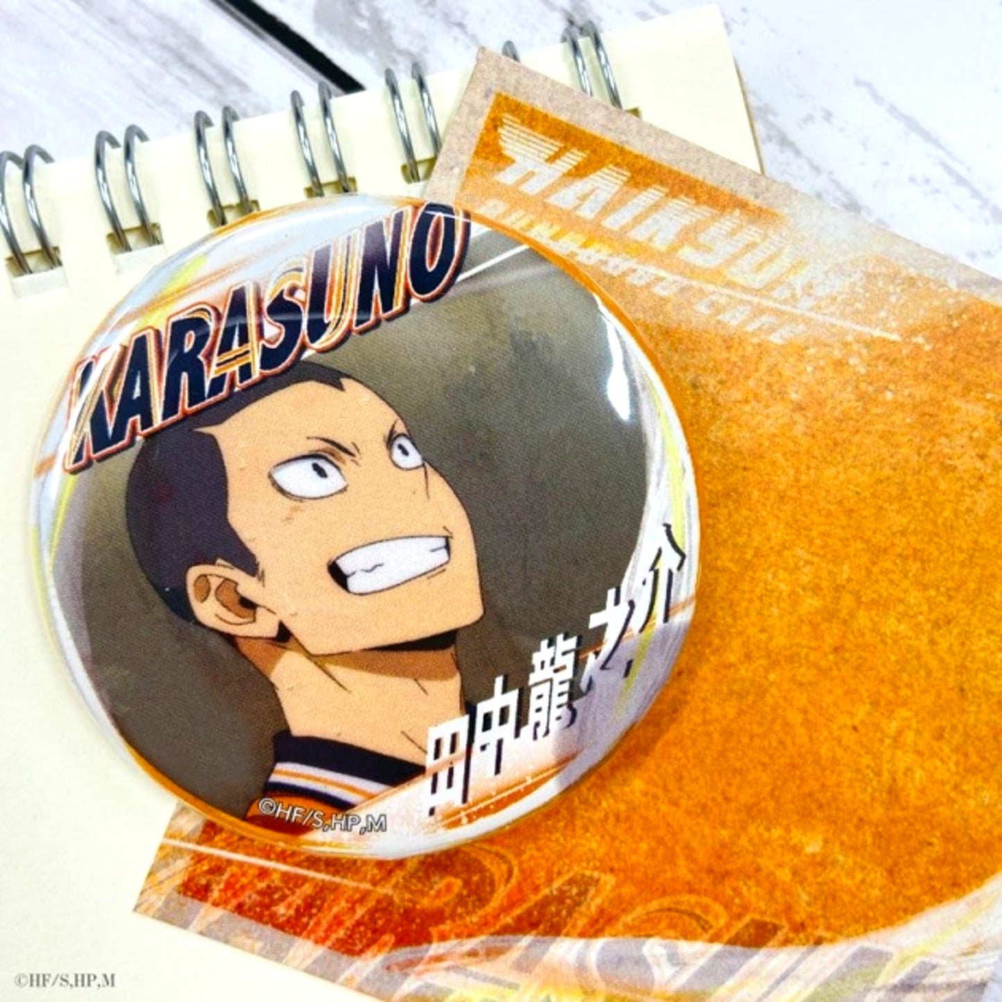Haikyu!! A page of youth Button Tanaka Ryunosuke Goods - Badge Resale [NEW]
