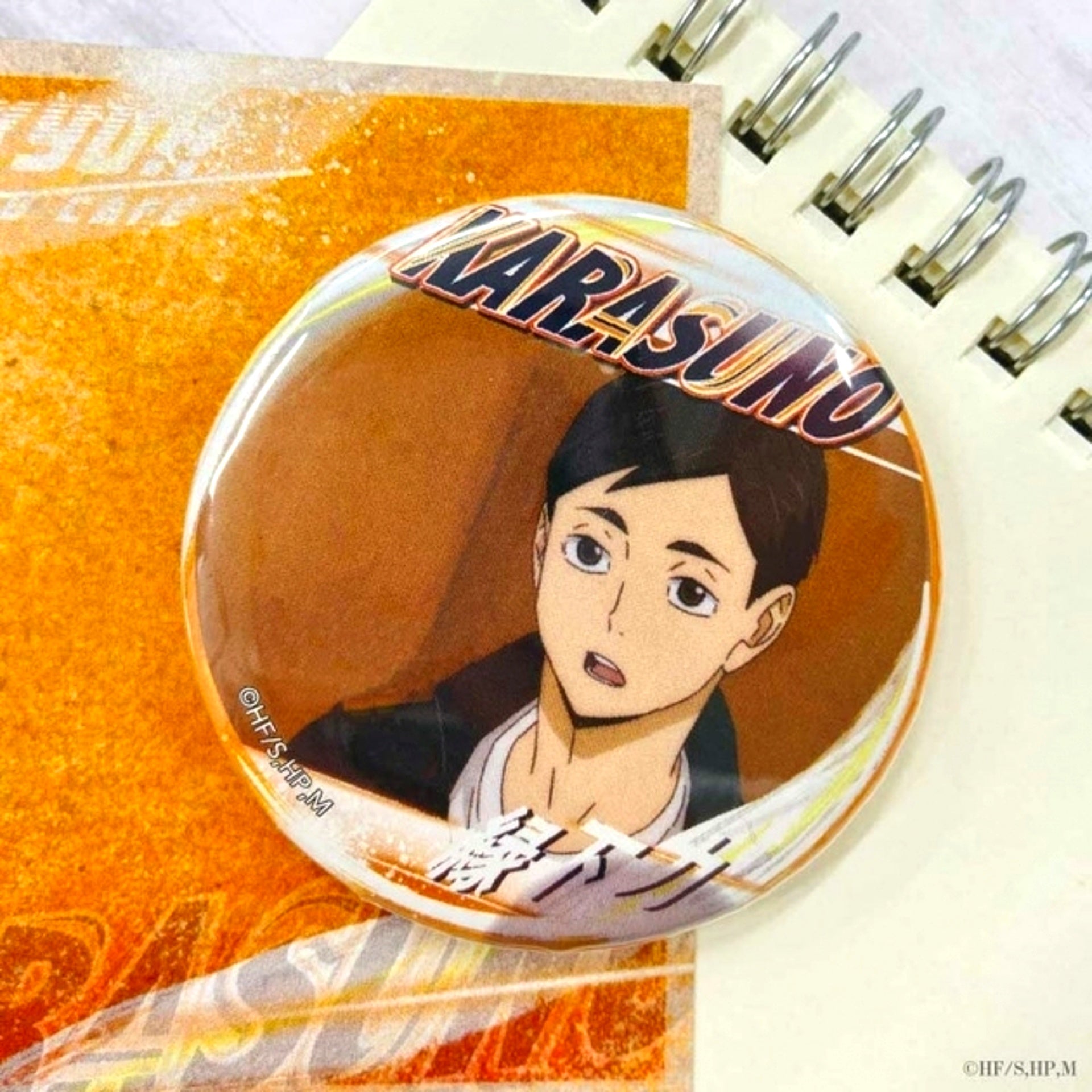 Haikyu!! A page of youth Button Chikara Ennoshita Goods - Badge Resale [NEW]
