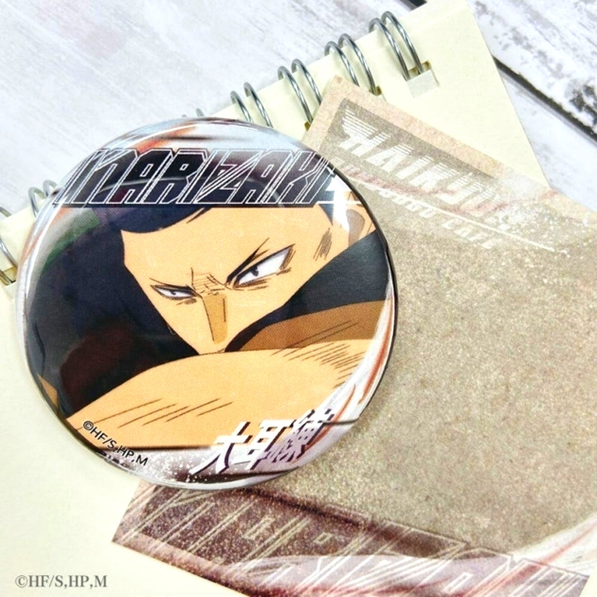 Haikyu!! A page of youth Can Badge Ren Omimi (Reissue) [NEW]