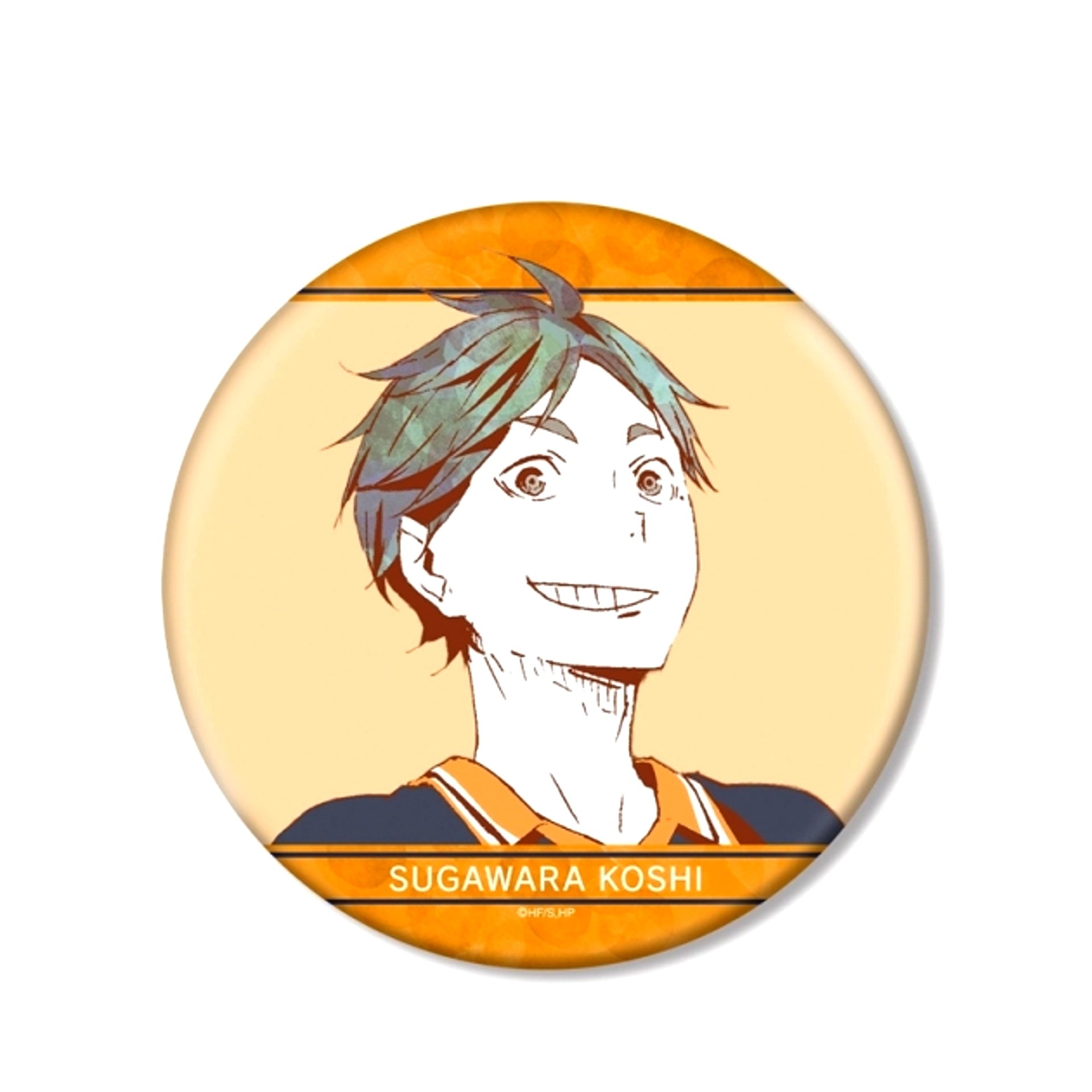 Haikyu!! Koushi Sugawara Ani-Art Part 1 B IG Button Goods - Badge Resale [NEW]