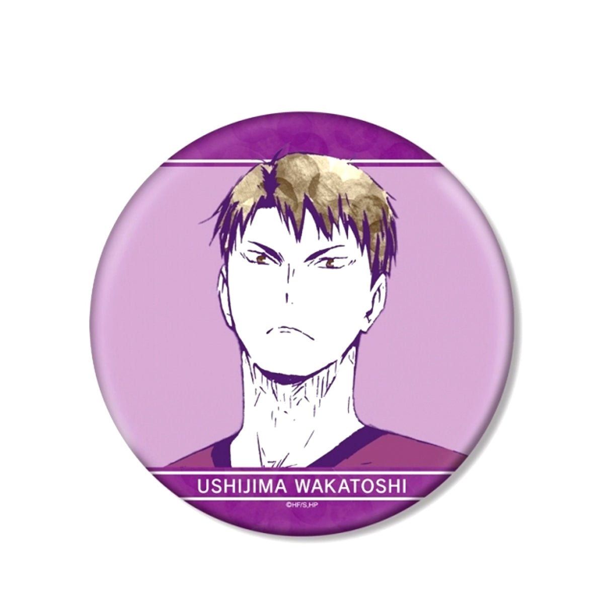 Haikyu!! Wakatoshi Ushijima Ani-Art Part 1 B IG Button Goods - Badge Resale [NEW]