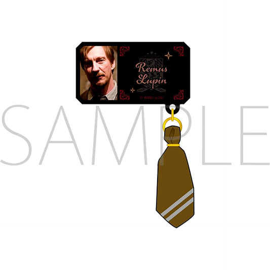 Harry Potter Name Badge with Charm (Remus Lupin) [NEW]