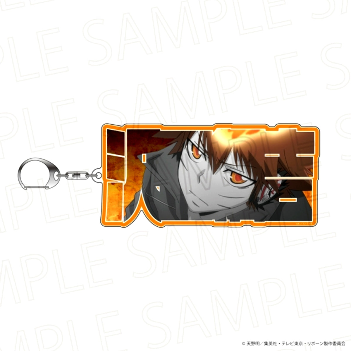 TV Anime Katekyo Hitman Reborn! Nemufure Keychain mini Tsunayoshi Sawada (Accent Color) [NEW]