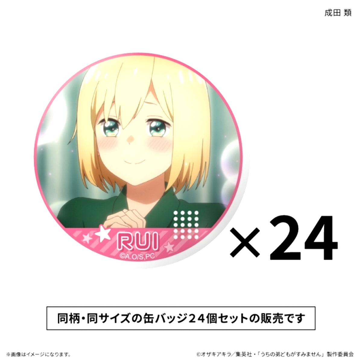 Please Excuse My Younger Brothers Dake Can Set Rui Narita Dake Can Badge (24 Pieces) [NEW]
