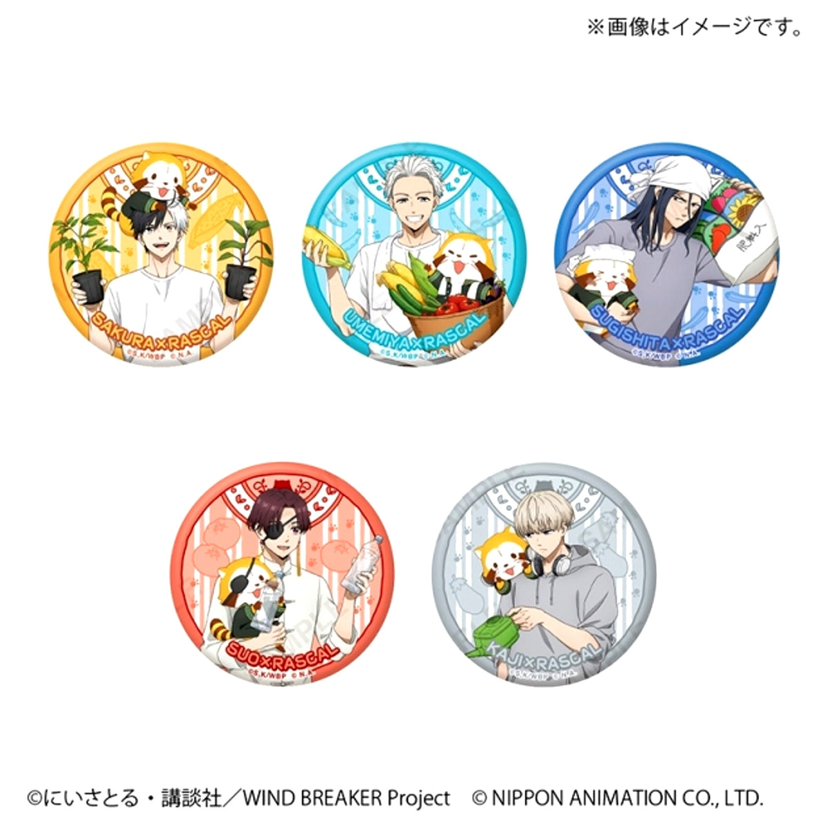 WIND BREAKER x Rascal Random Button Goods - Badge [NEW]