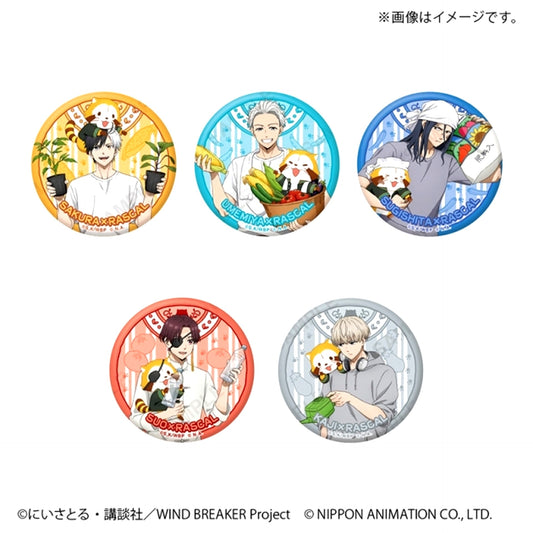 WIND BREAKER x Rascal Random Button Goods - Badge [NEW]