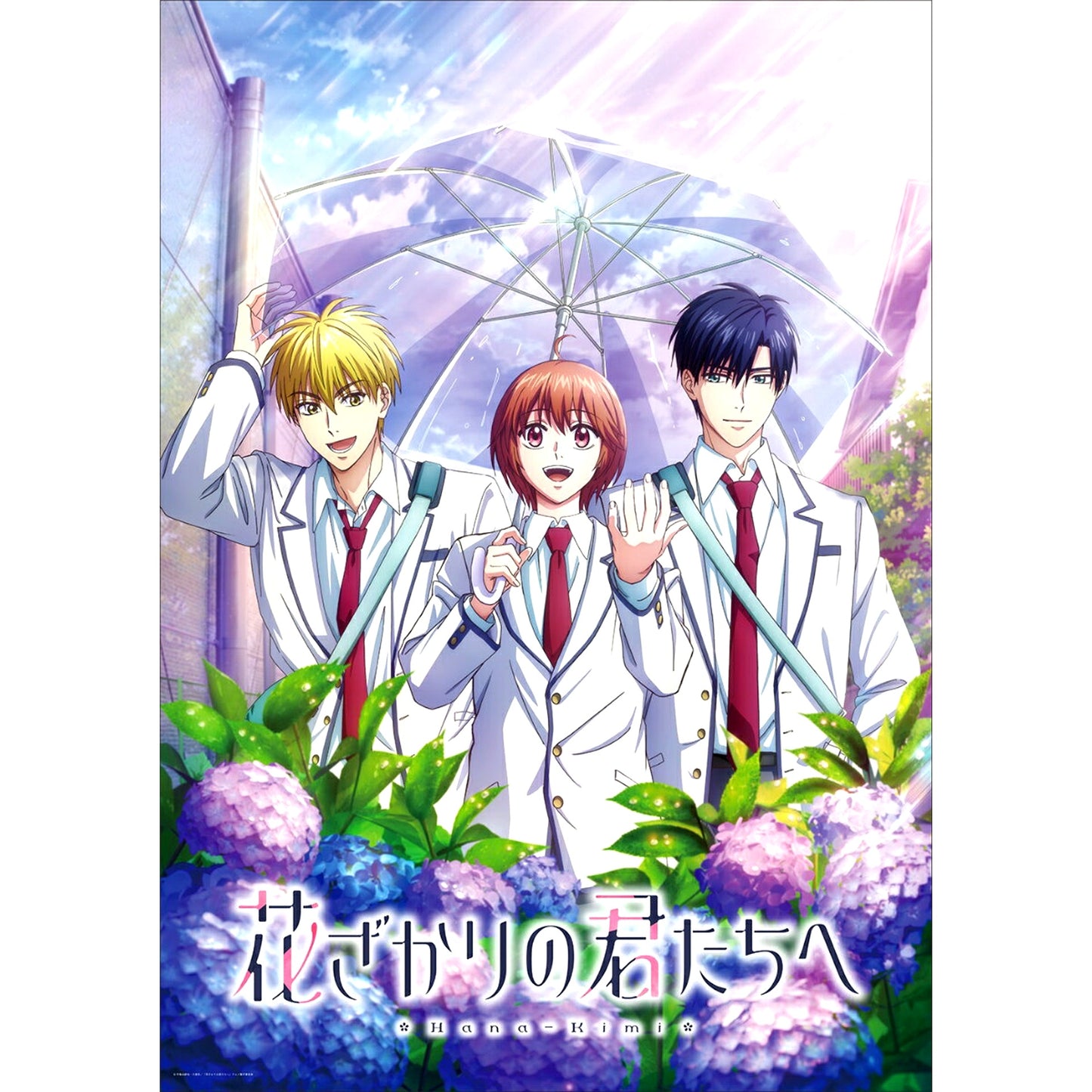 Hana-Kimi: For You in Full Blossom Season 2 Blu-ray Disc BOX Vol.2 (Limited Edition) [NEW]
