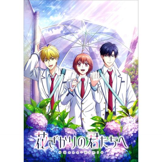 Hana-Kimi: For You in Full Blossom Season 2 Blu-ray Disc BOX Vol.2 (Limited Edition) [NEW]