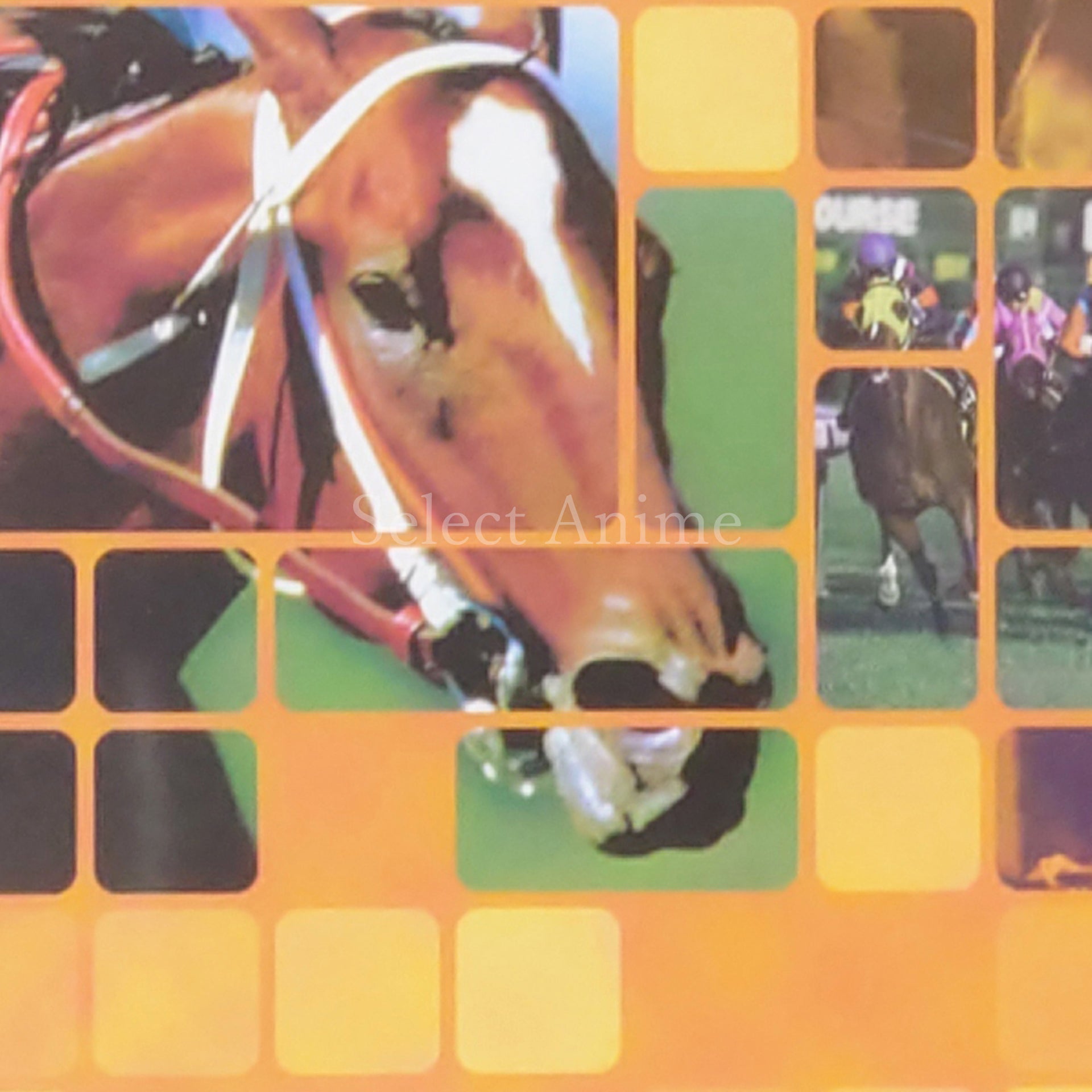 Winning Post World 2010 Xbox 360 [USED]