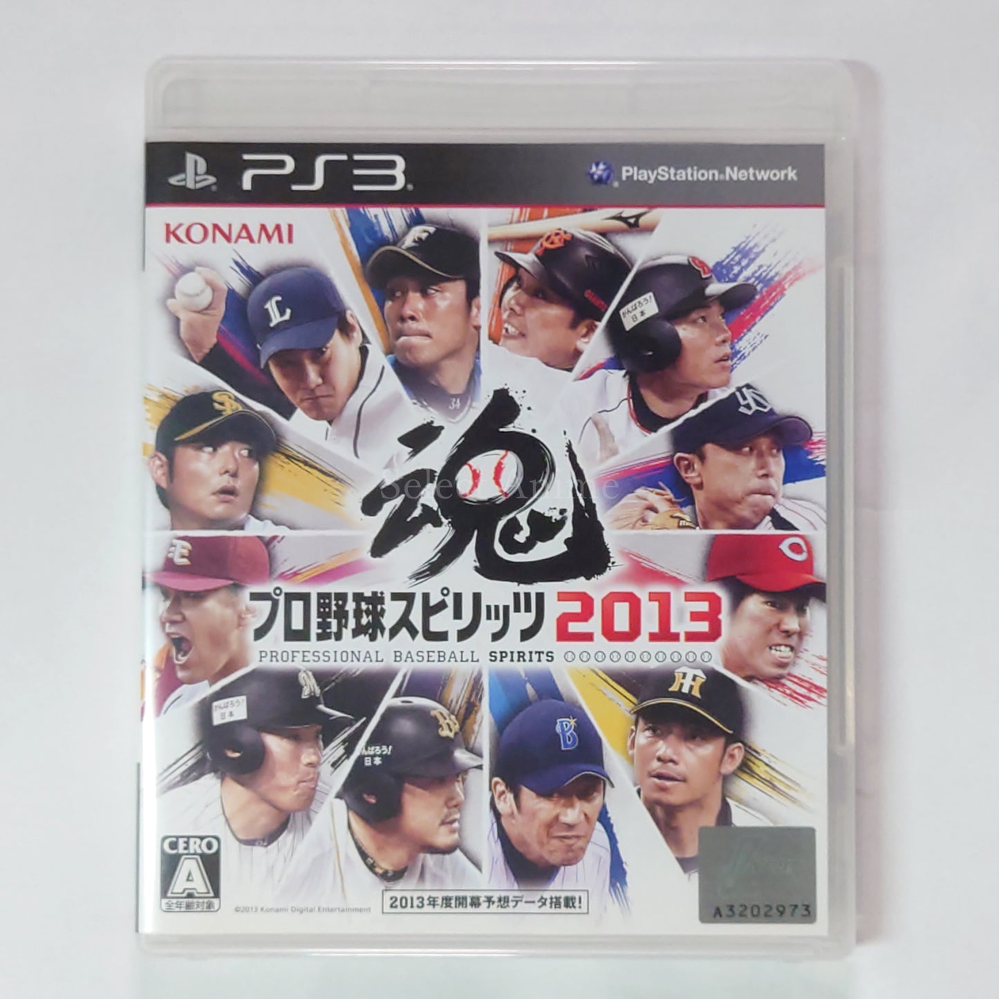 Pro Yakyu Spirits 2013 PlayStation 3 [USED]