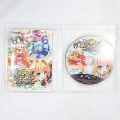Sangoku Hime 2: Kouki Houkou Mezameshi Taiga PlayStation 3 [USED]