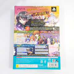 Sengoku Hime 4: Souha Hyakkei, Hana Mamoru Chikai Deluxe Limited Edition PlayStation 3 [USED]