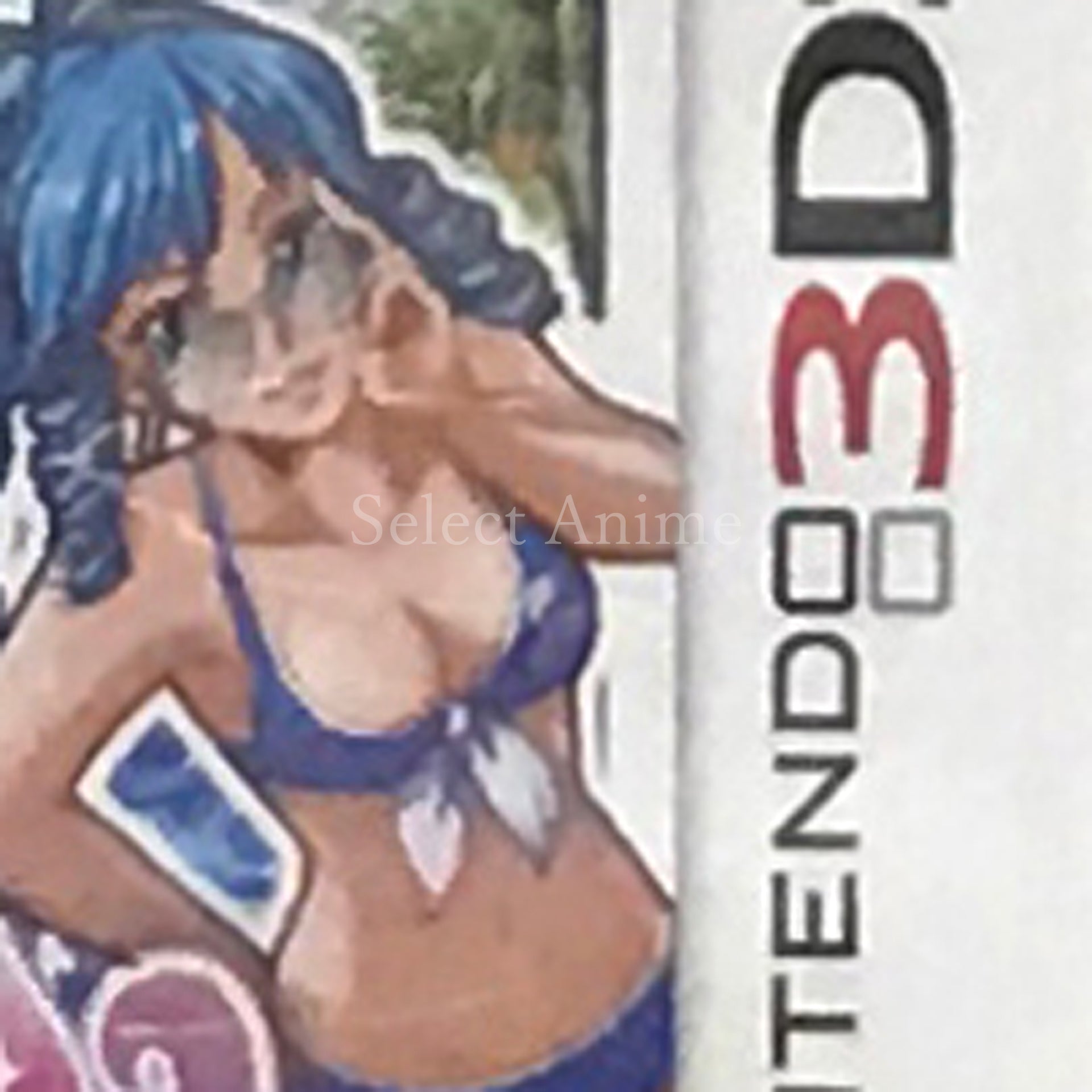 PachiPara 3D DX Umimonogatari: Pachi Pro Fuunroku Hana Koto no Shobushi tachi NINTENDO 3DS [USED]