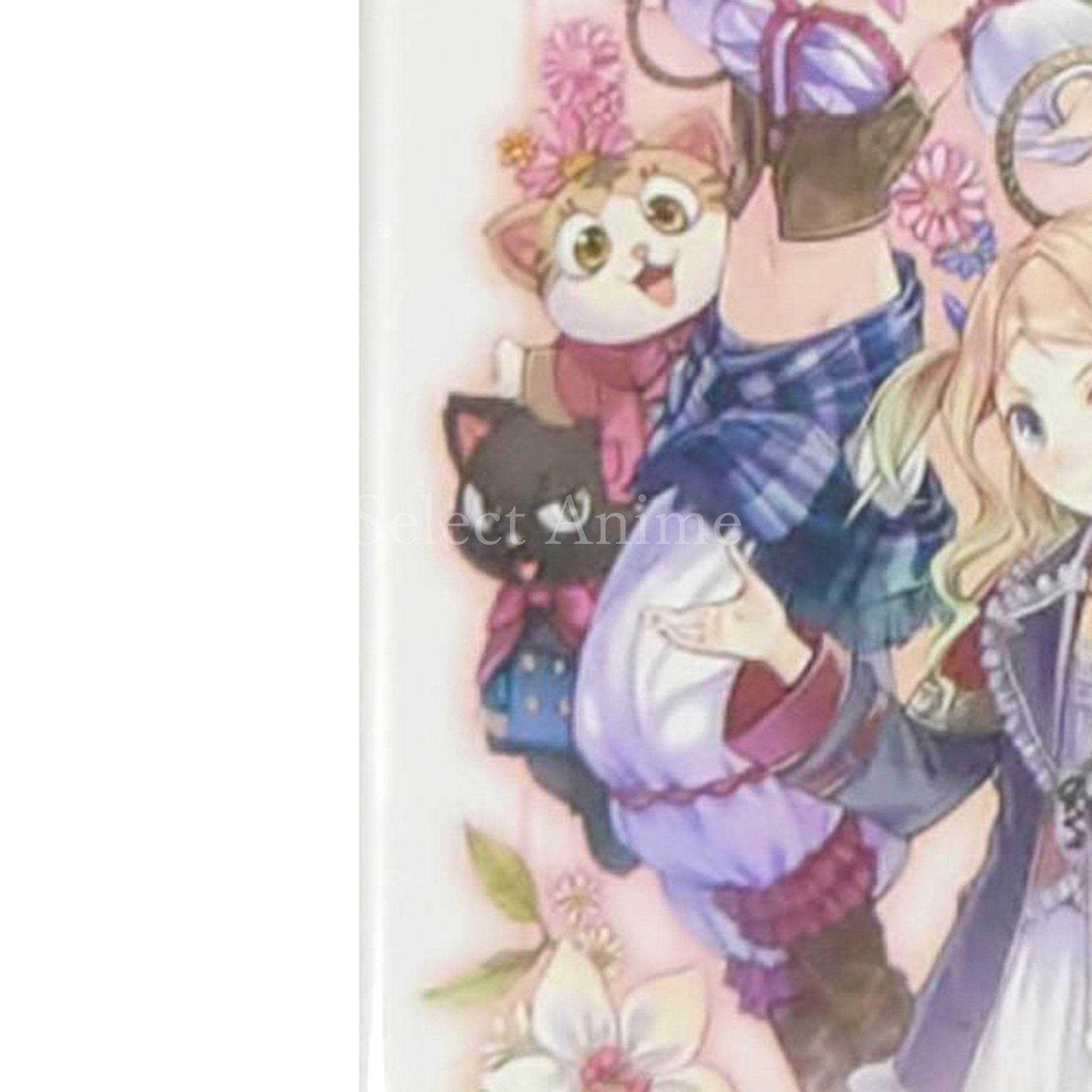 Atelier Rorona Plus: The Alchemist of Arland PlayStation Vita [USED]