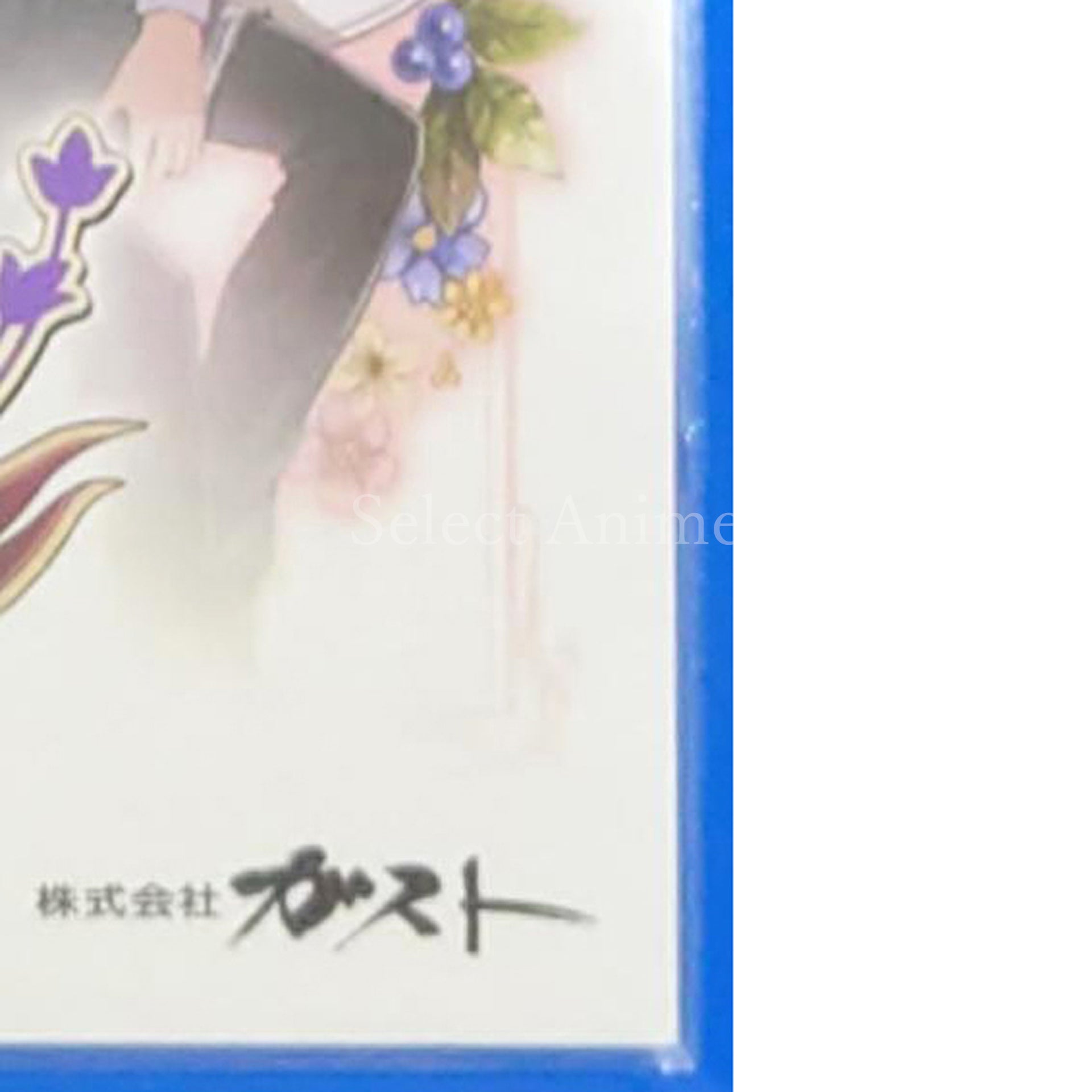 Atelier Rorona Plus: The Alchemist of Arland PlayStation Vita [USED]