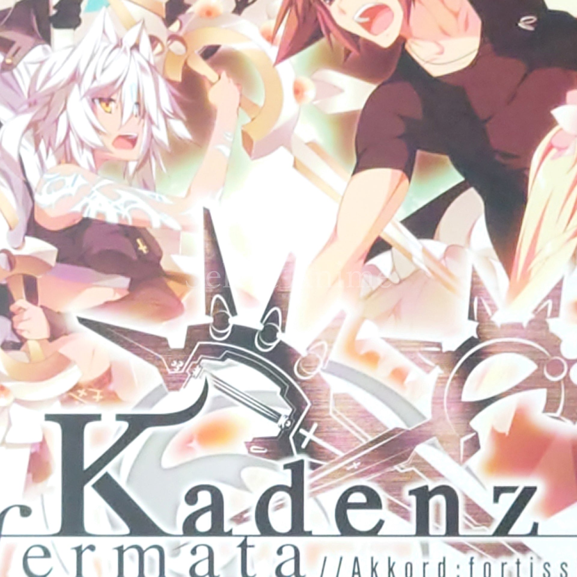 Kadenz fermata//Akkord:fortissimo Limited Edition PlayStation Vita [USED]
