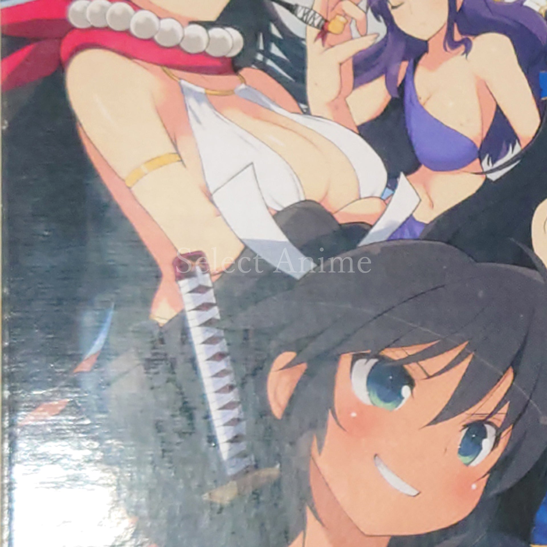 Senran Kagura: Estival Versus Nyunyu DX Pack PlayStation Vita [USED]