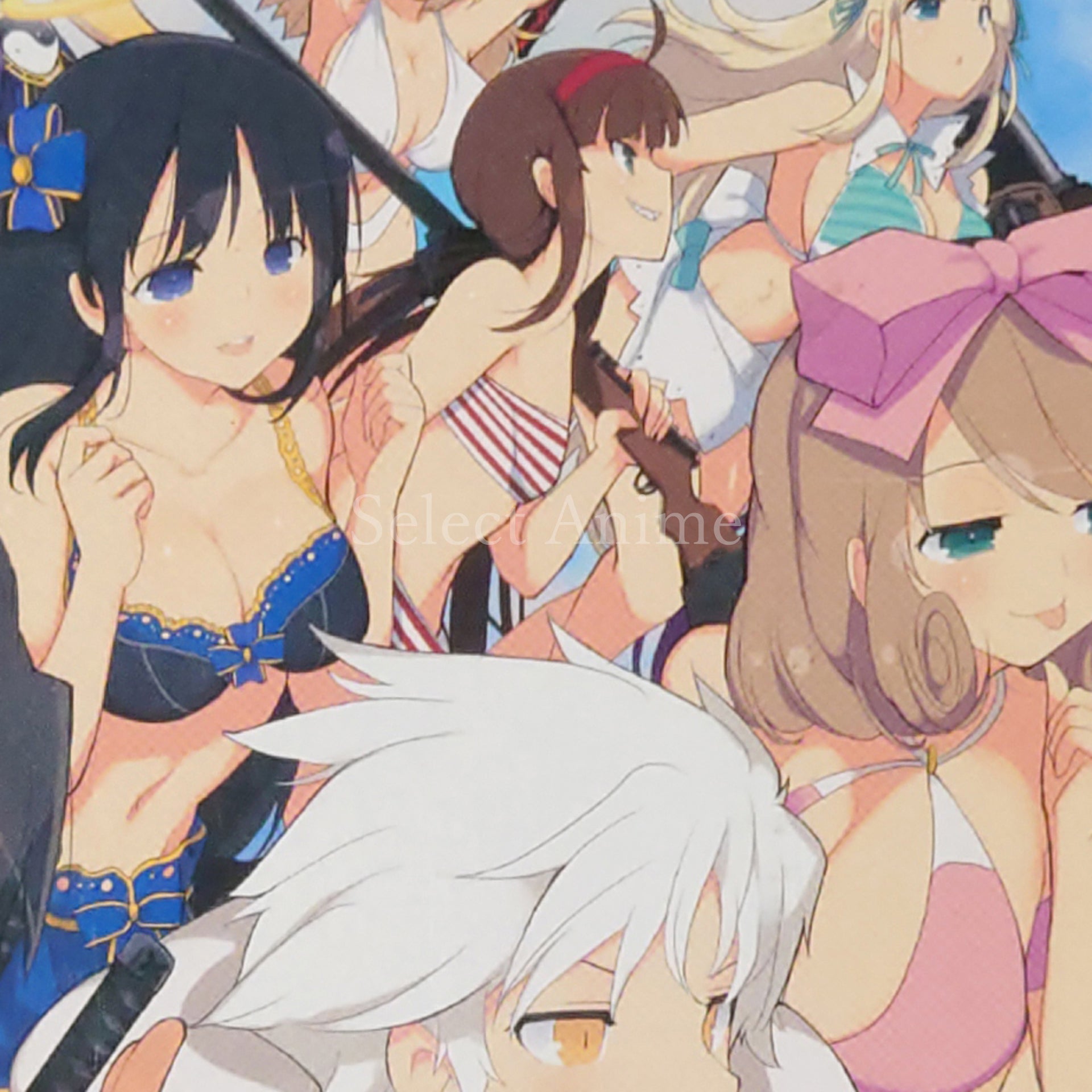 Senran Kagura: Estival Versus Nyunyu DX Pack PlayStation Vita [USED]