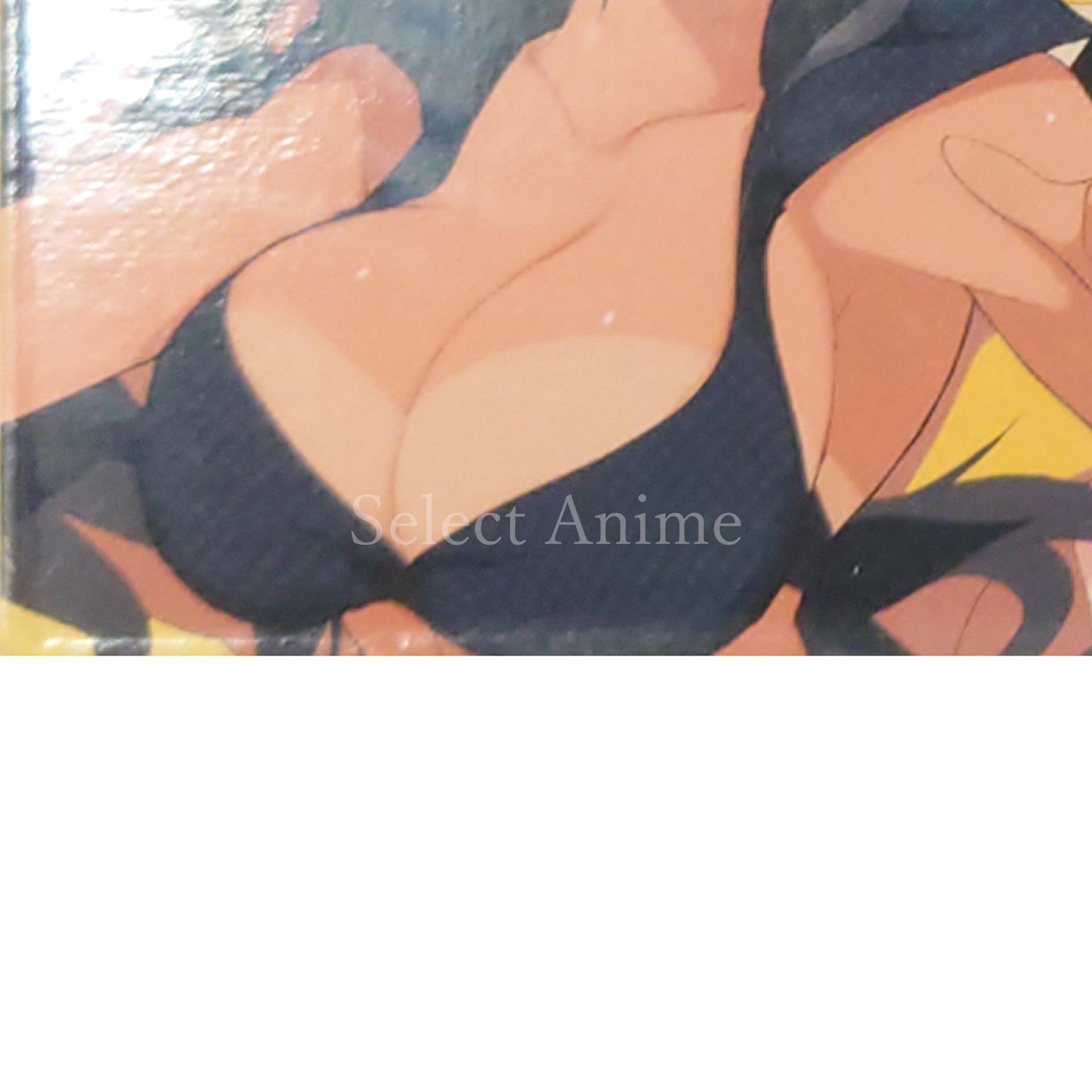 Senran Kagura: Estival Versus Nyunyu DX Pack PlayStation Vita [USED]