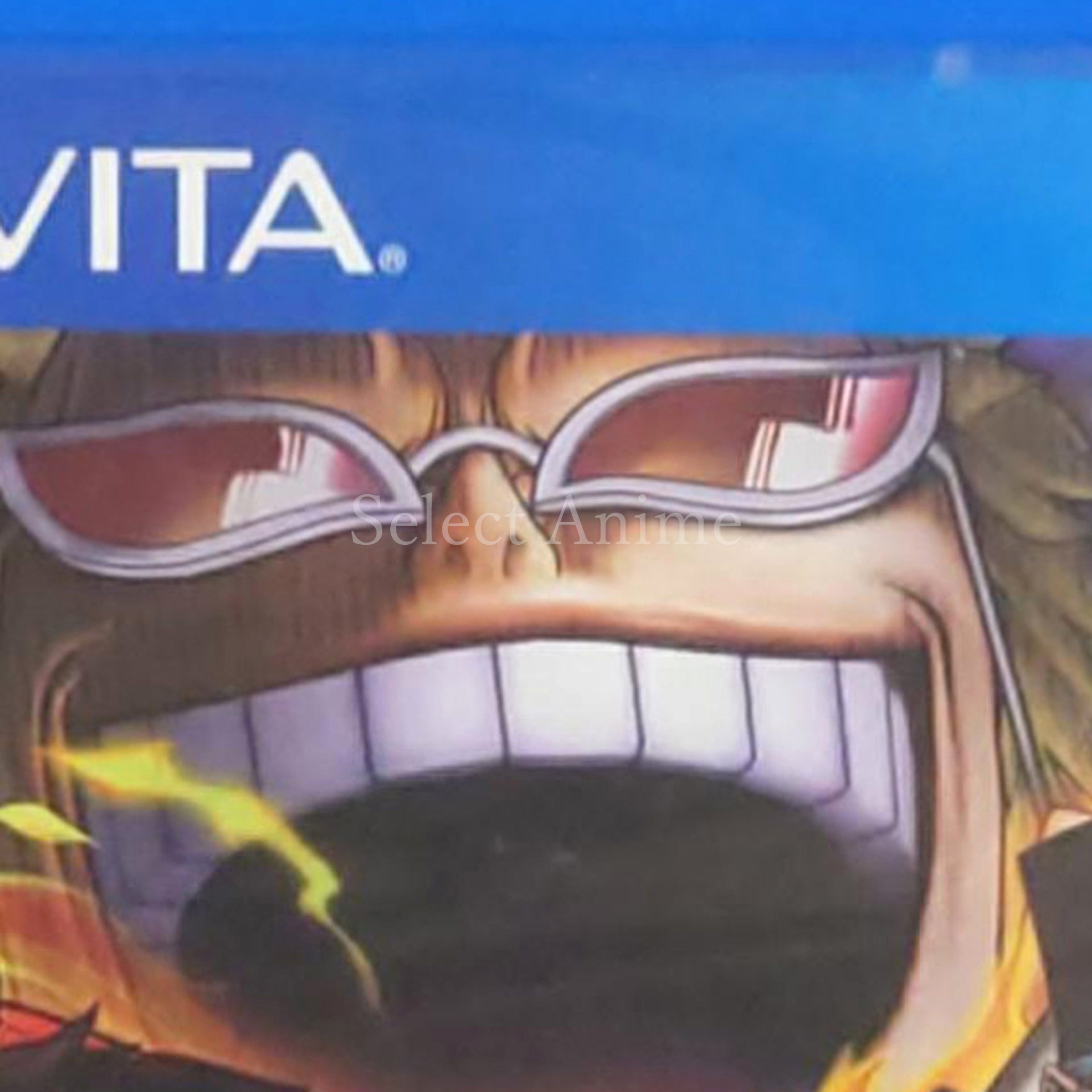 One Piece: Pirate Warriors 3 PlayStation Vita [USED]